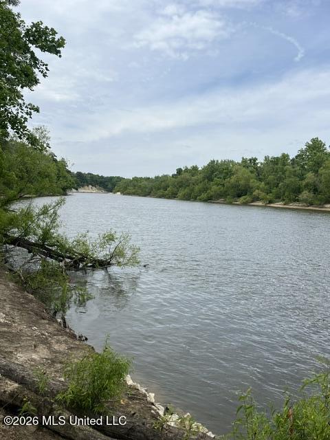 image25