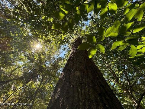 Vacant Land For Sale - Delaware Avenue<br/> Pike County, McComb, MS 39648