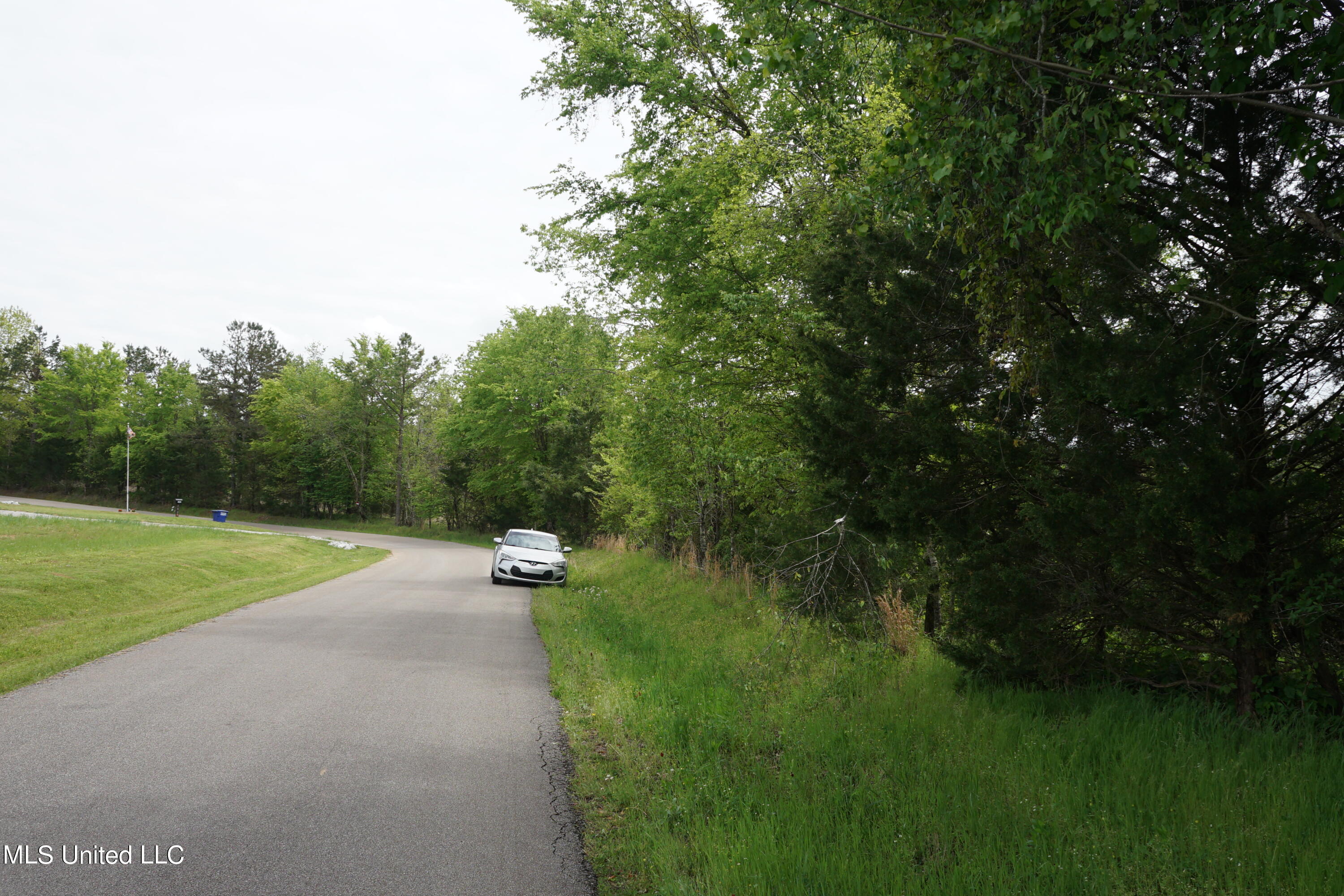 Witherspoon Road, Michigan City, Mississippi image 6