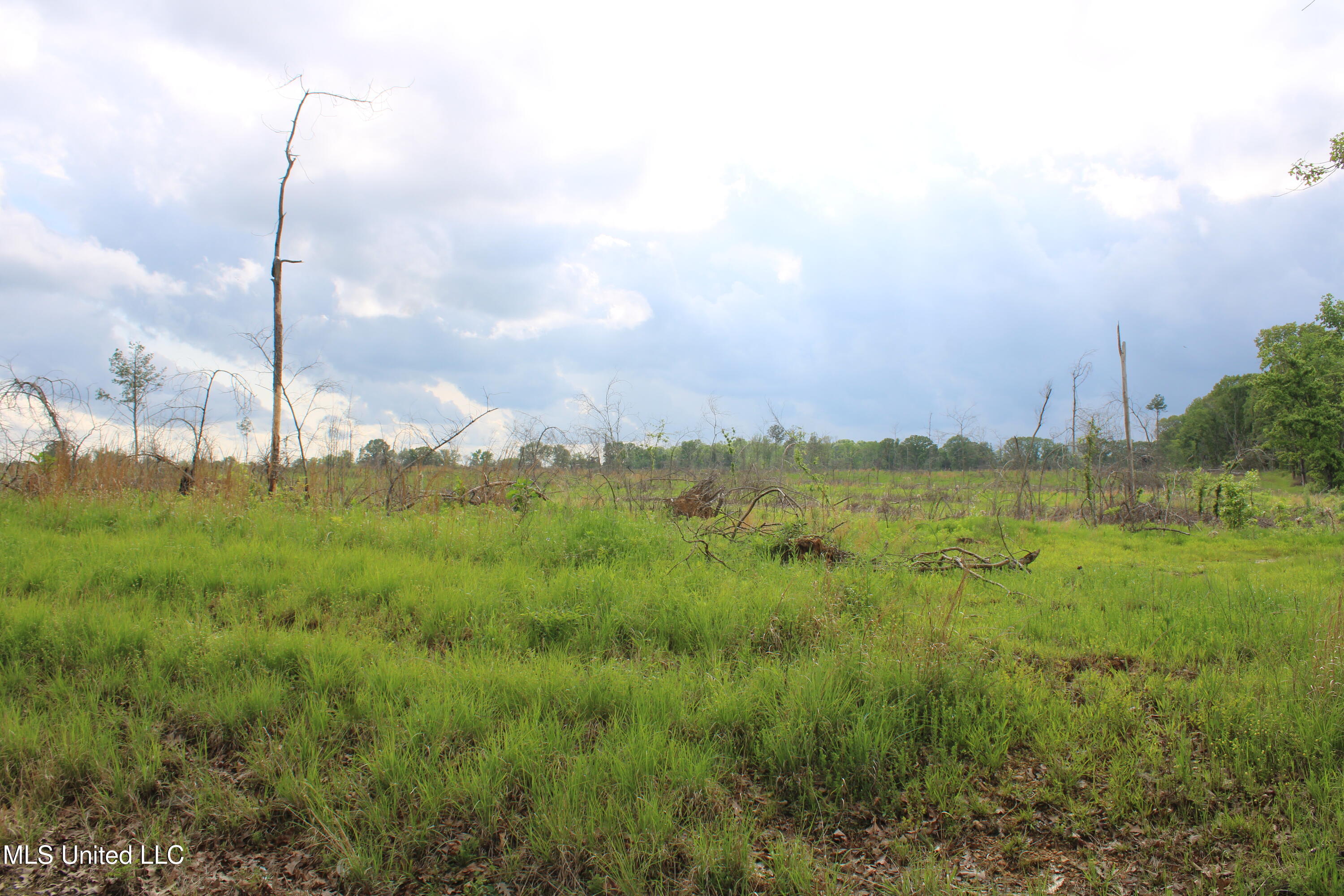 Kelsey Massie Road, Como, Mississippi image 32
