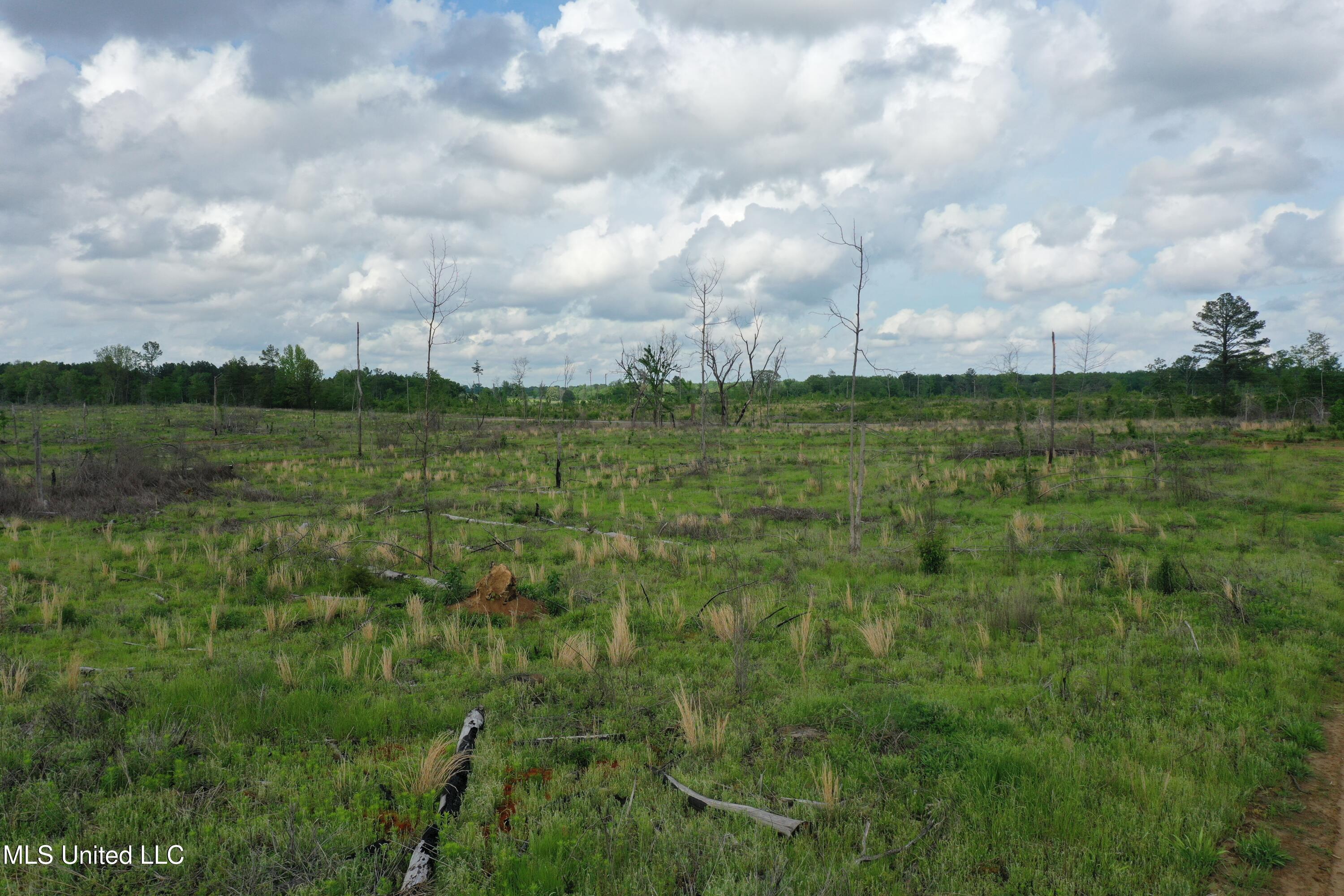 Kelsey Massie Road, Como, Mississippi image 18