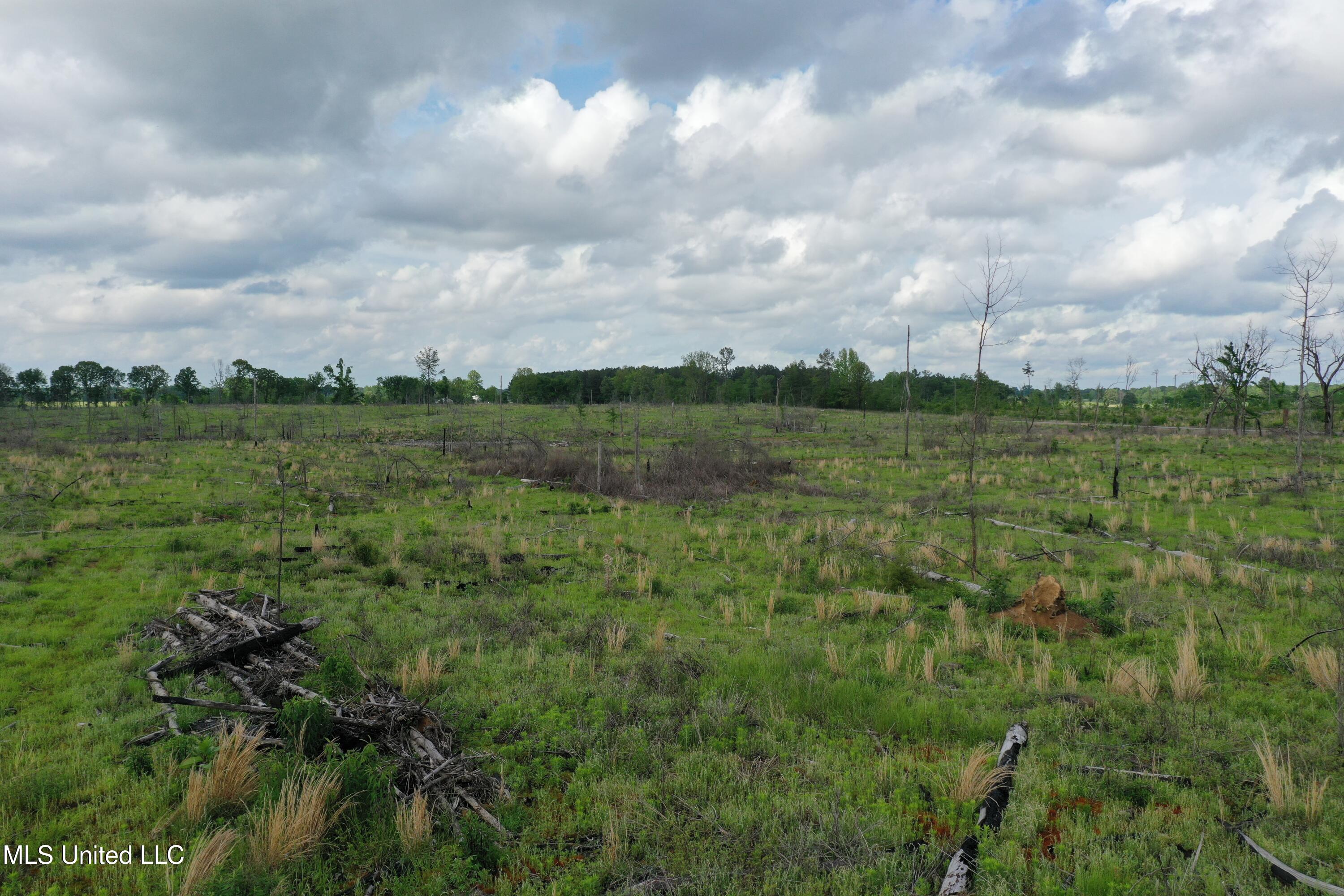 Kelsey Massie Road, Como, Mississippi image 17