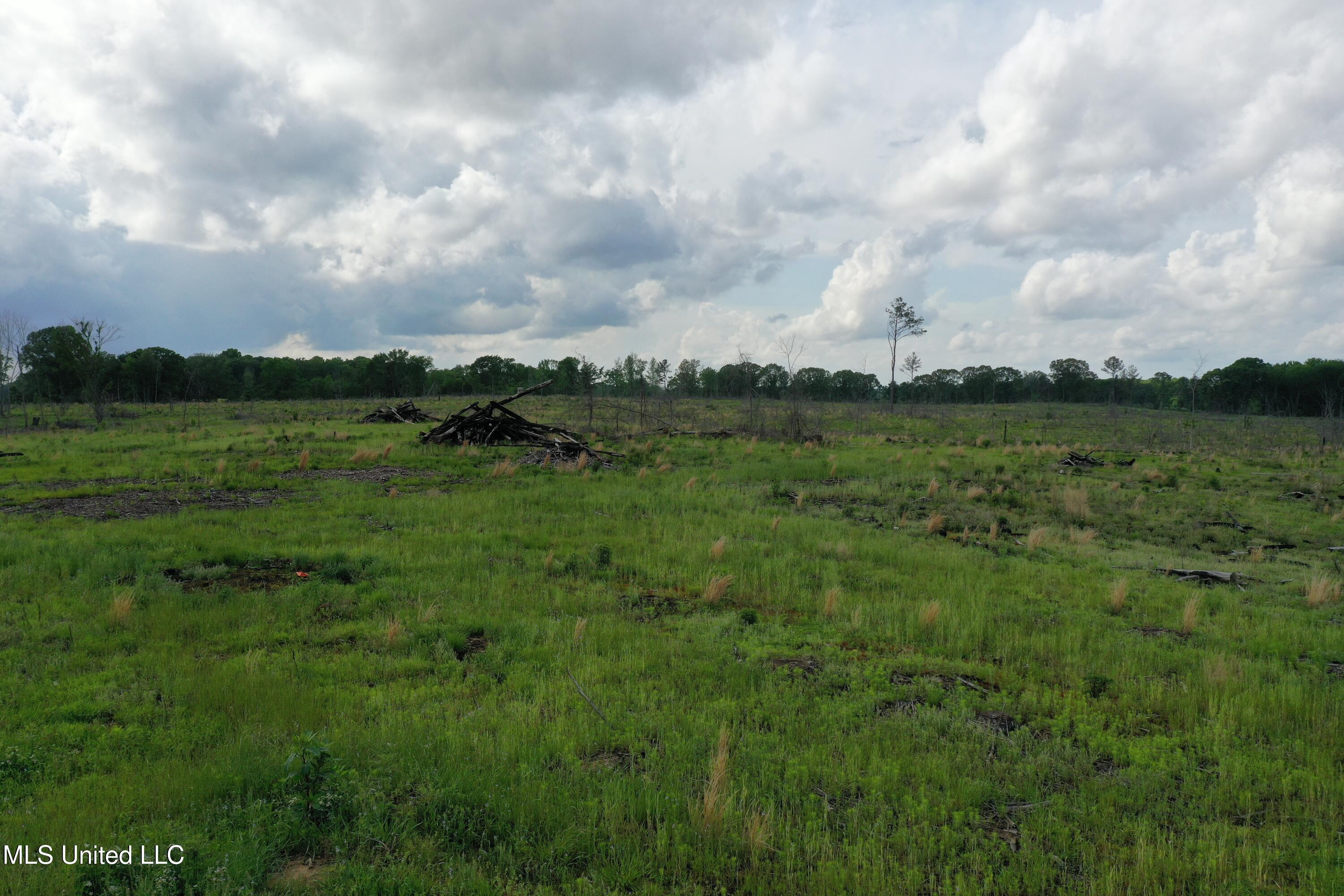 Kelsey Massie Road, Como, Mississippi image 16