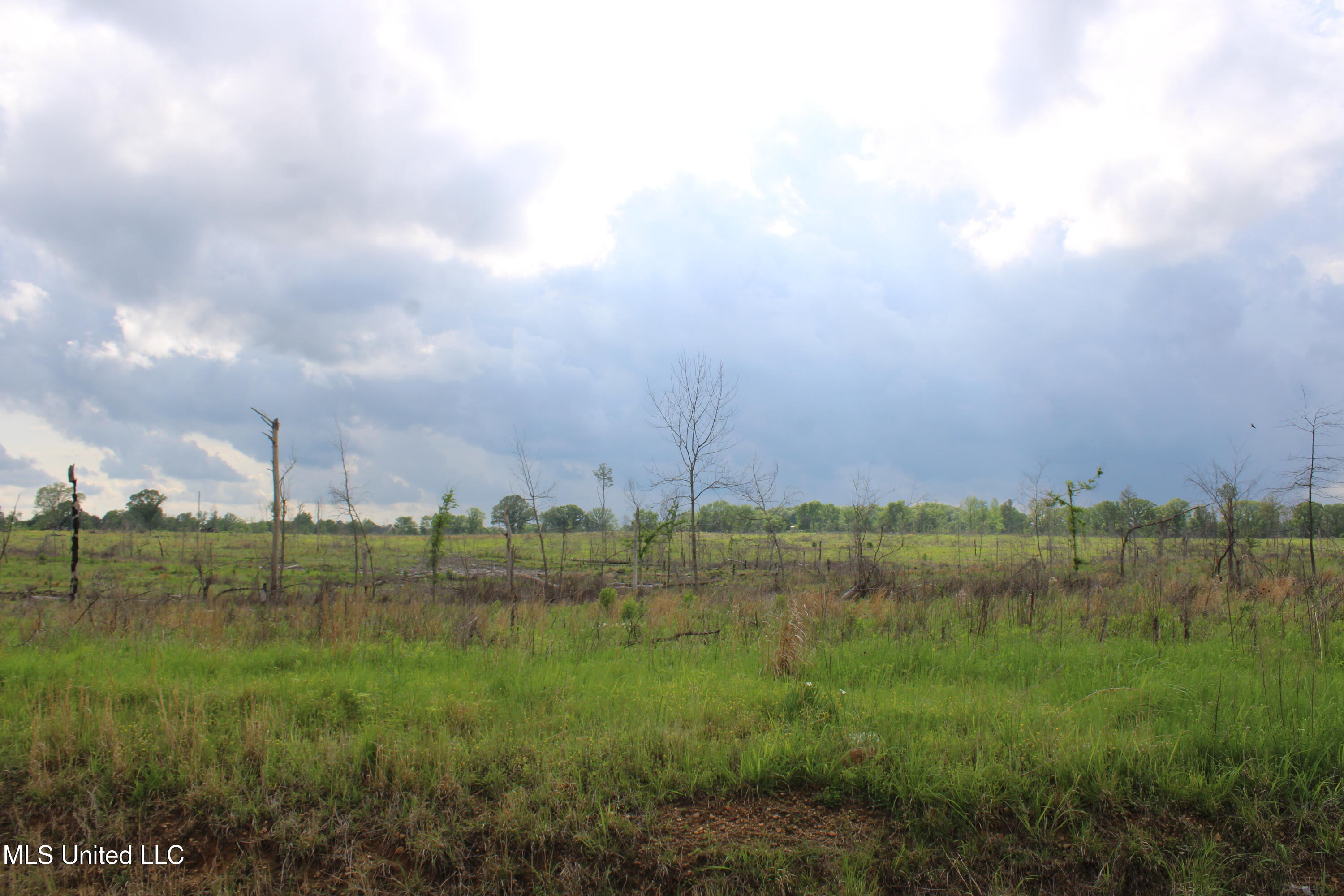 Kelsey Massie Road, Como, Mississippi image 33