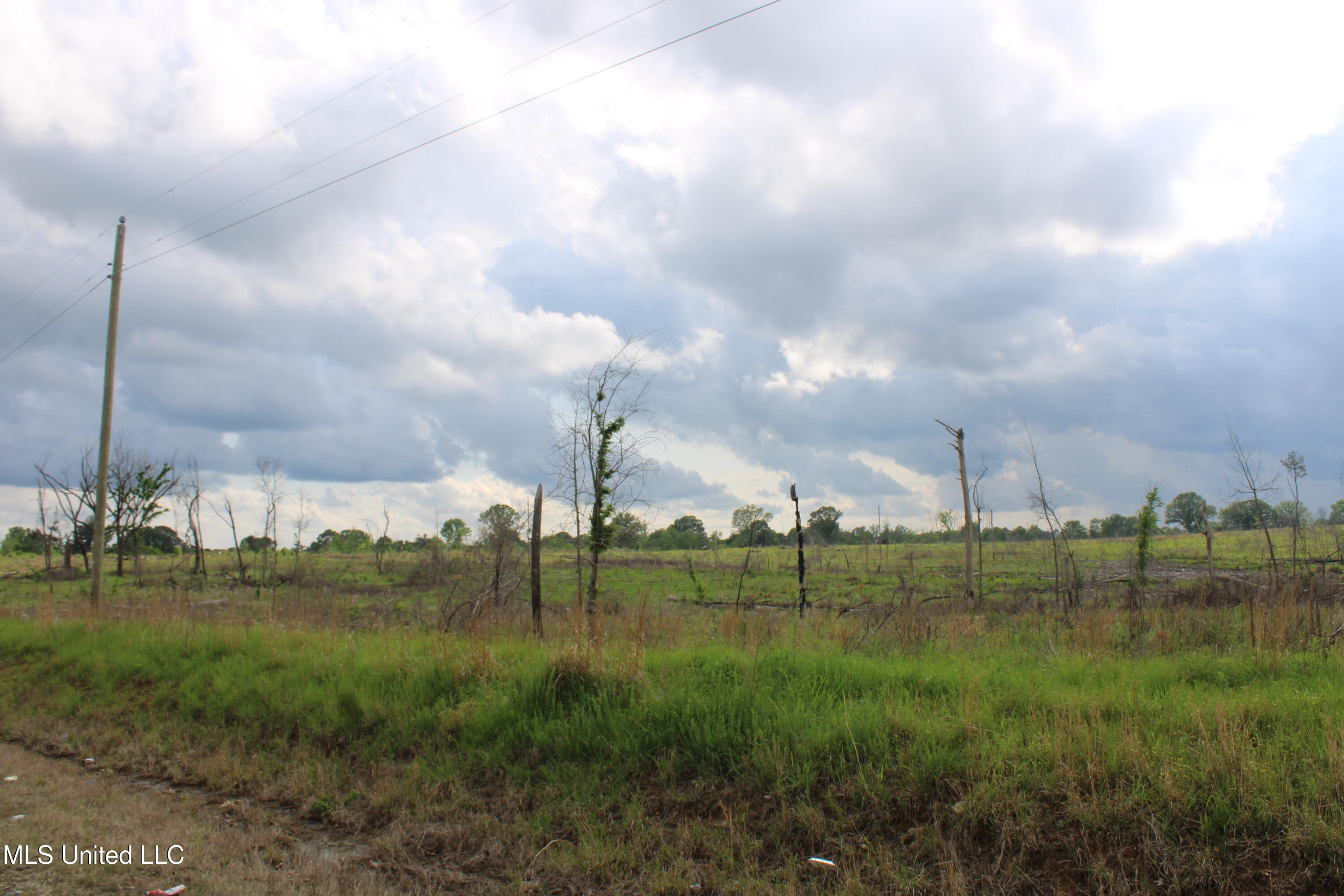 Kelsey Massie Road, Como, Mississippi image 34