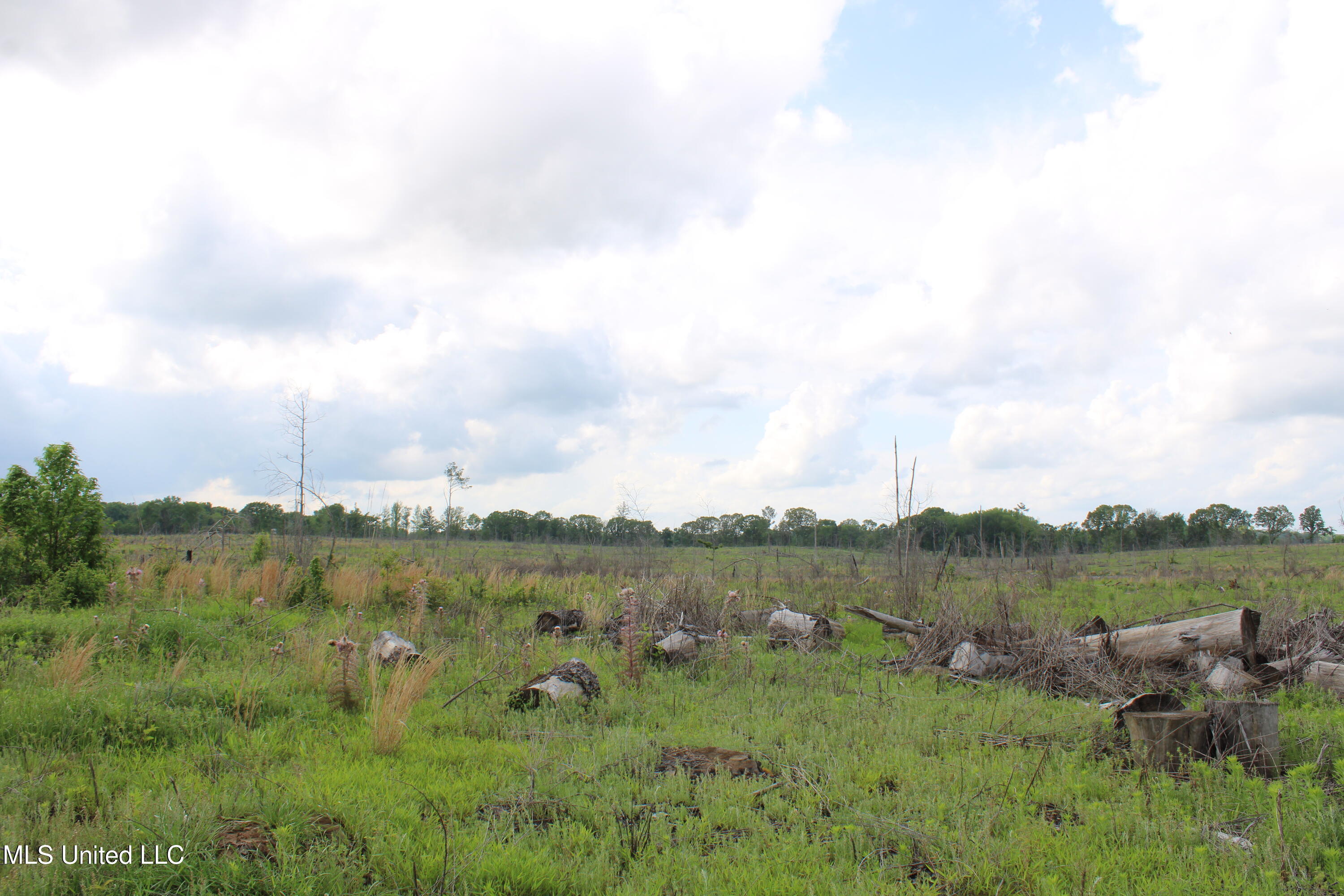 Kelsey Massie Road, Como, Mississippi image 29