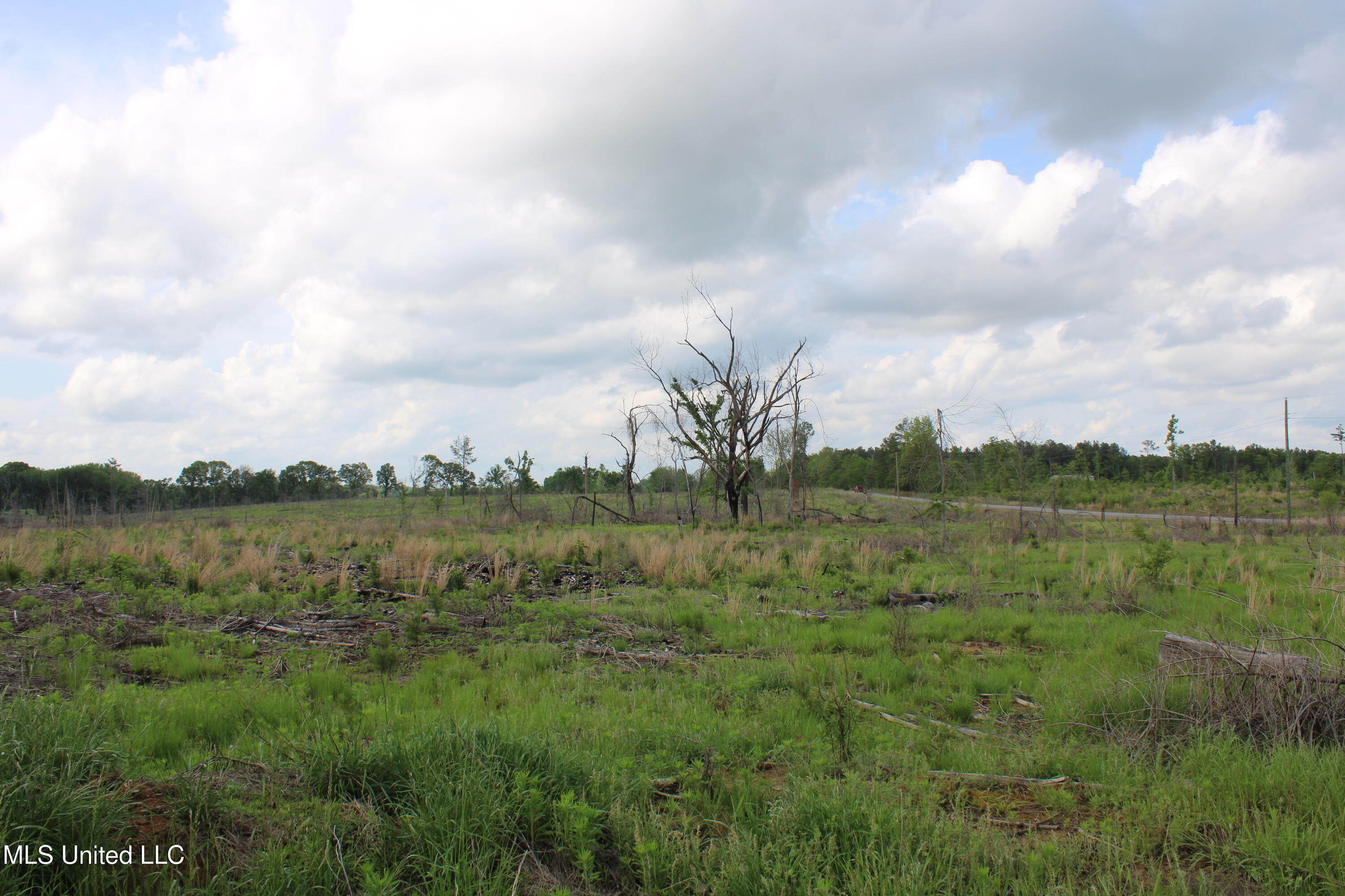 Kelsey Massie Road, Como, Mississippi image 26