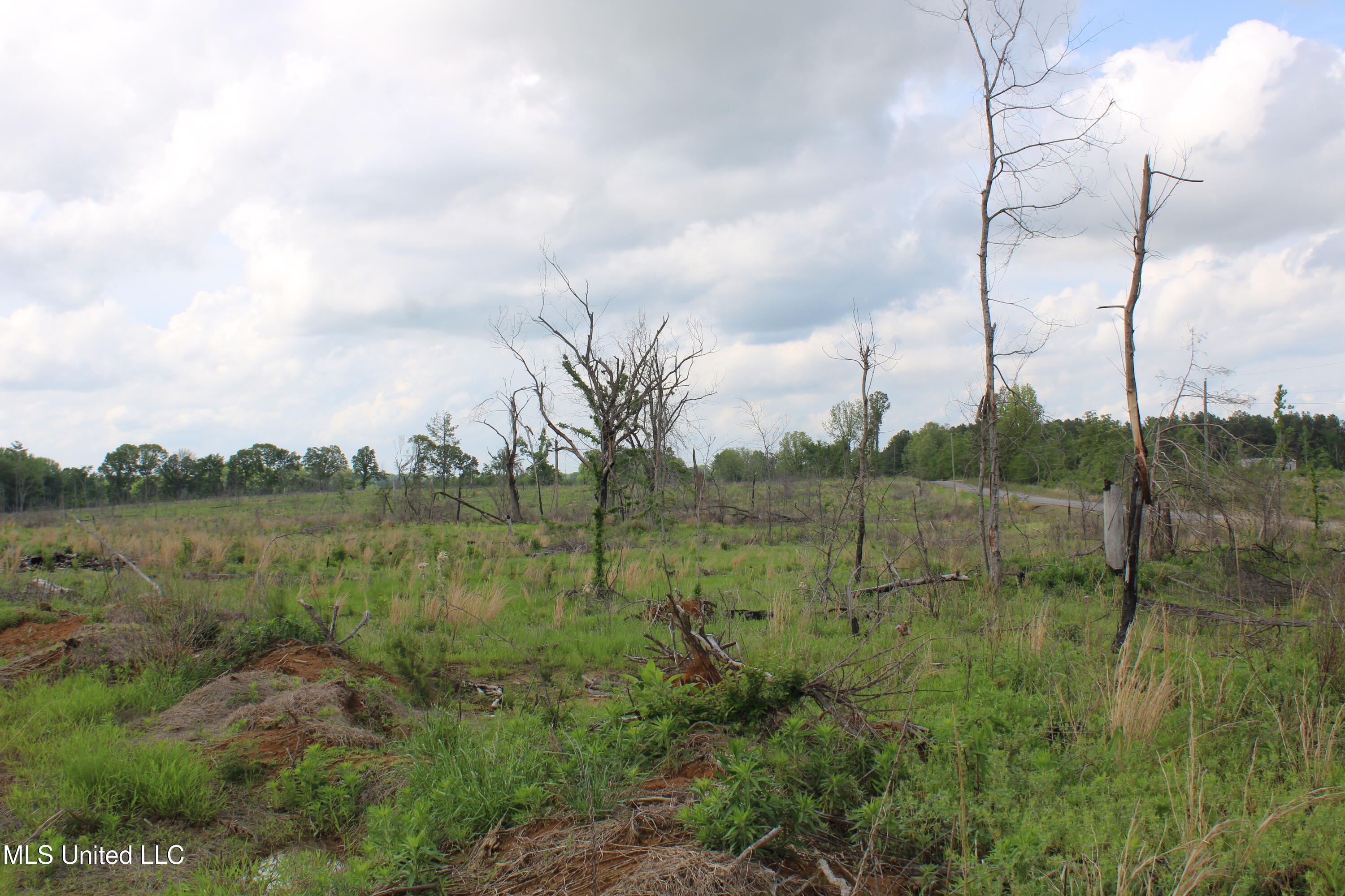 Kelsey Massie Road, Como, Mississippi image 23