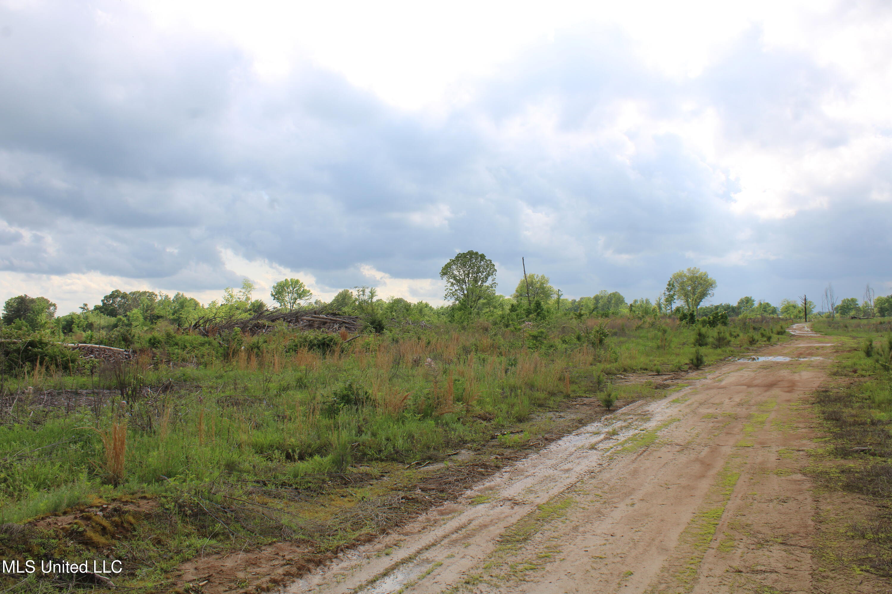 Kelsey Massie Road, Como, Mississippi image 30