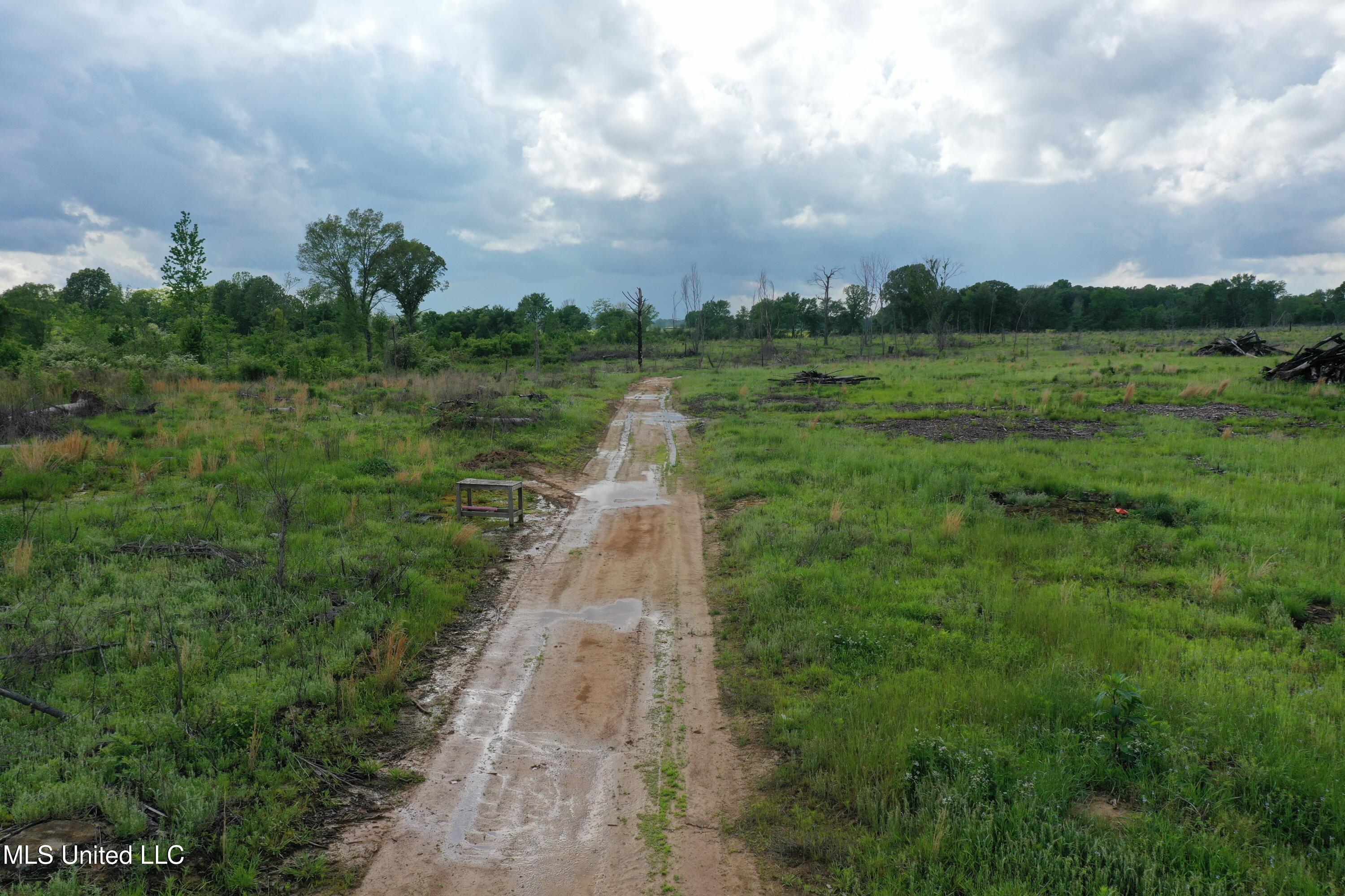 Kelsey Massie Road, Como, Mississippi image 15