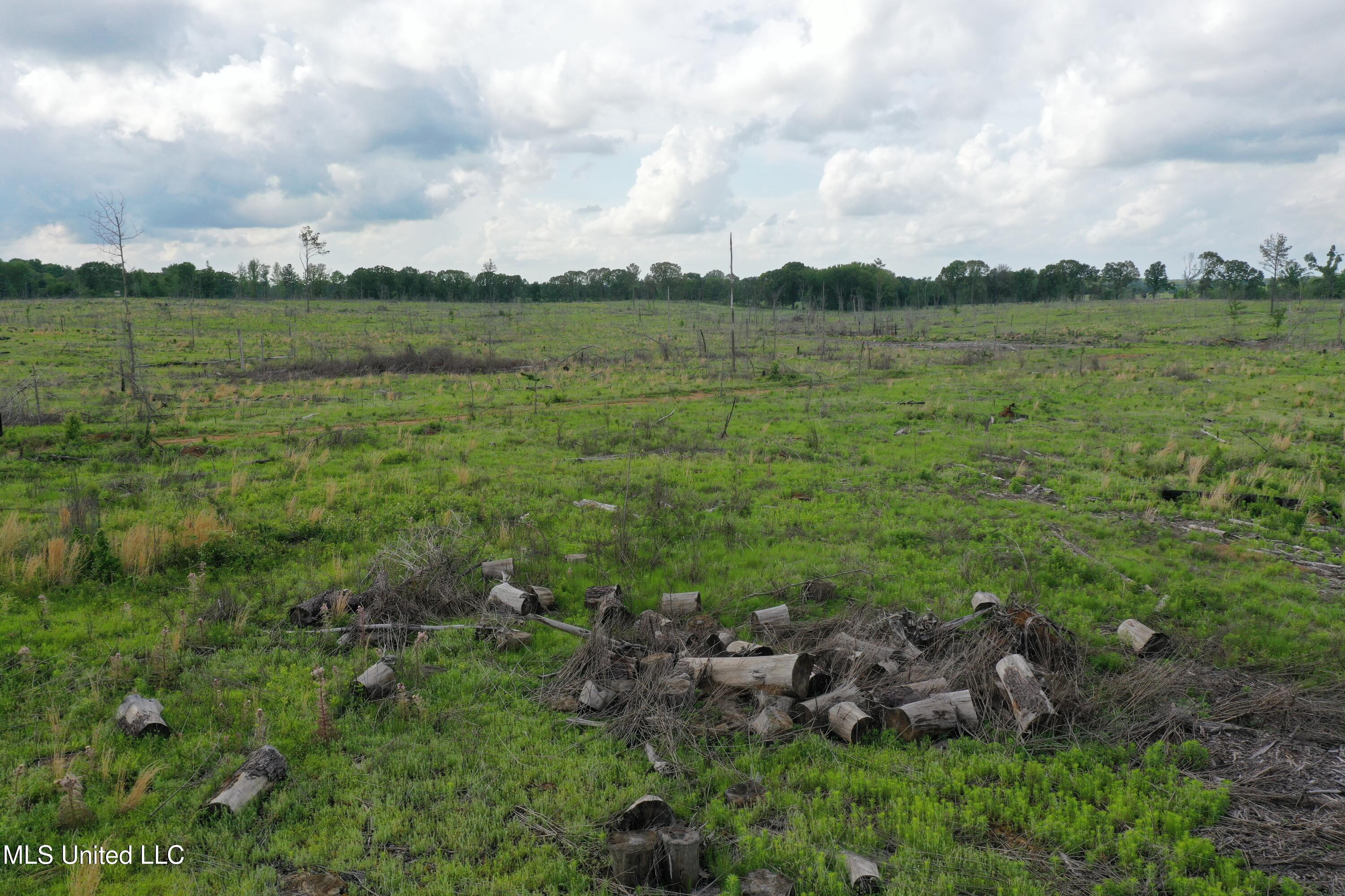 Kelsey Massie Road, Como, Mississippi image 19