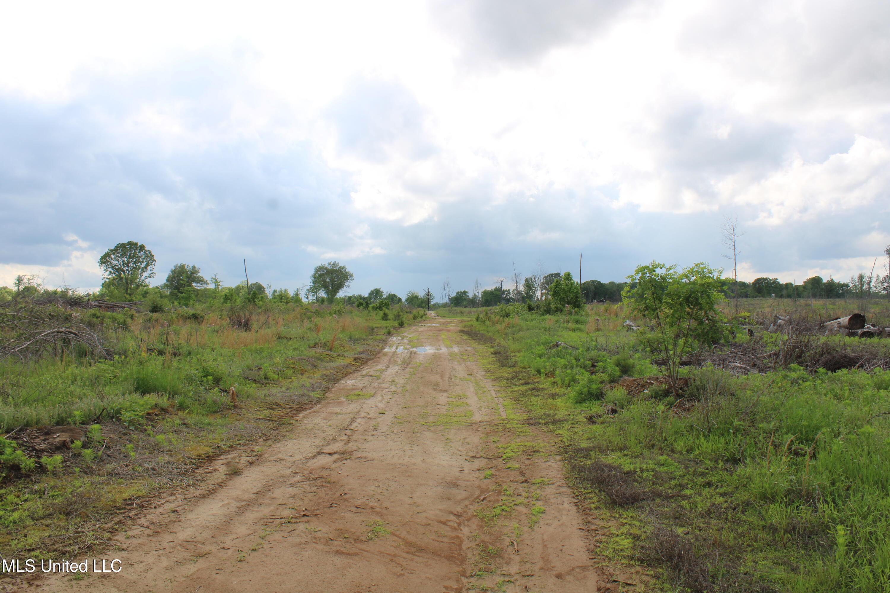 Kelsey Massie Road, Como, Mississippi image 27