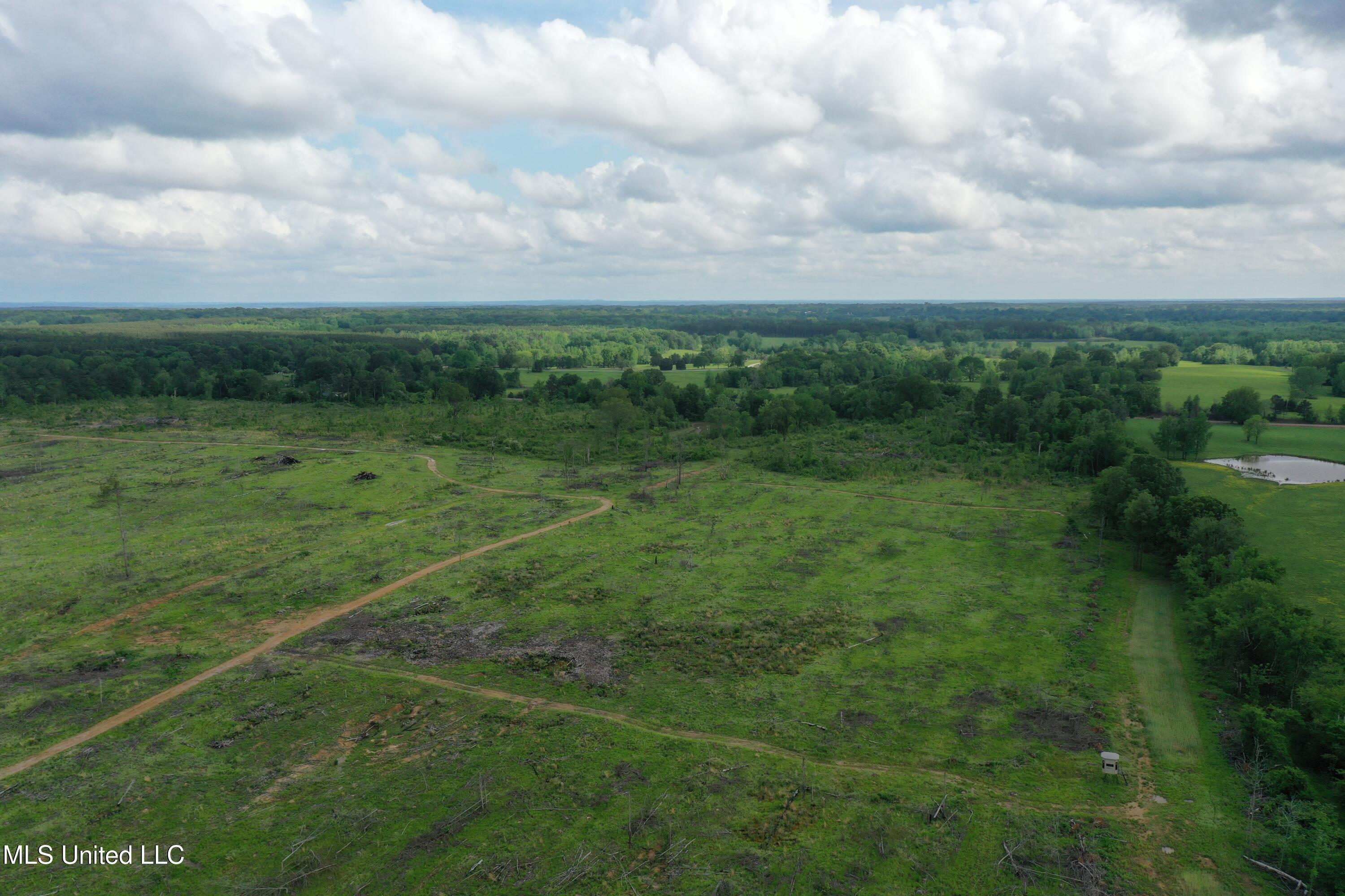 Kelsey Massie Road, Como, Mississippi image 6