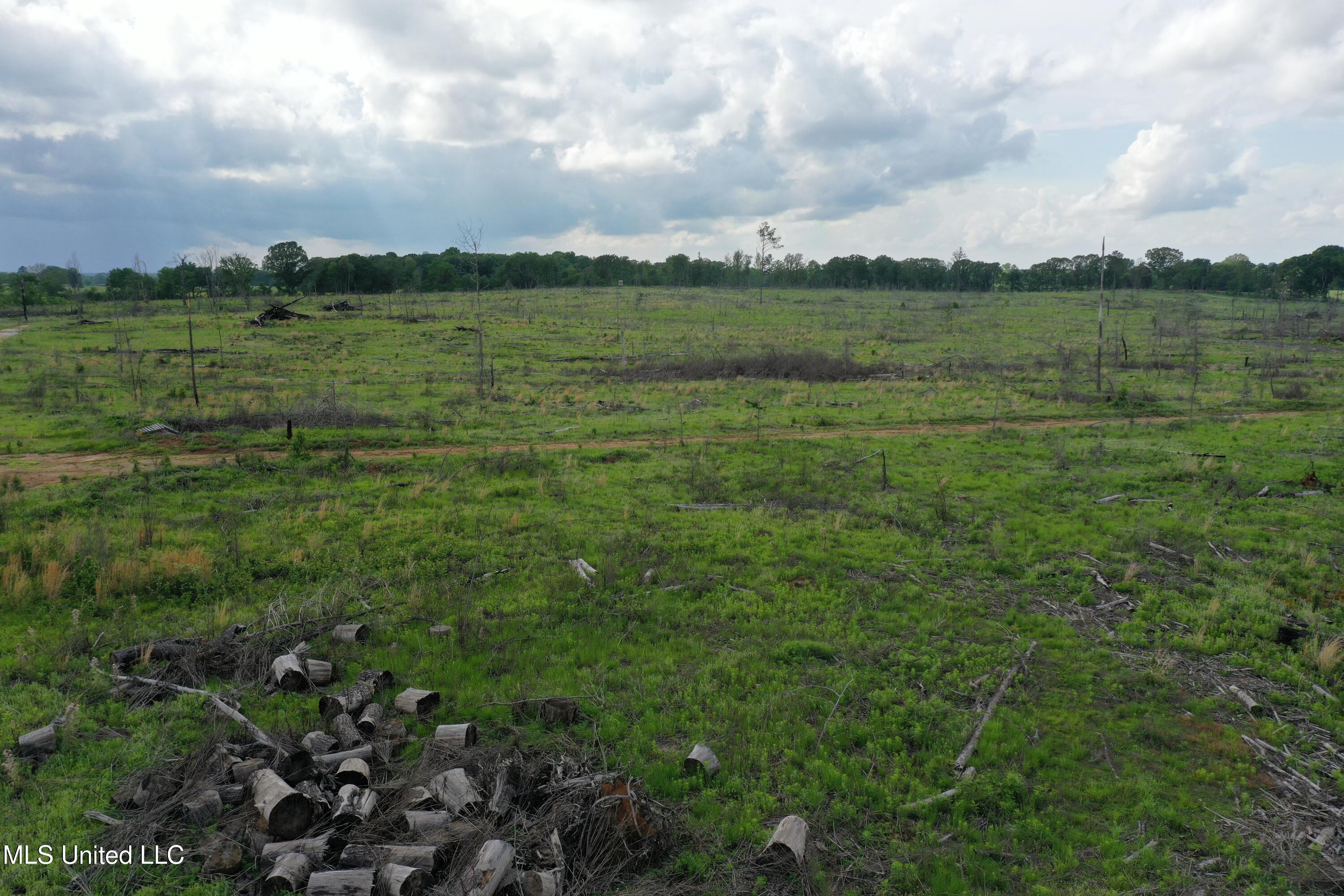 Kelsey Massie Road, Como, Mississippi image 11