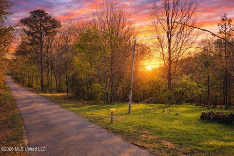 Vacant Land For Sale - 60472 Old Highway 6<br/> Amory, MS 38821