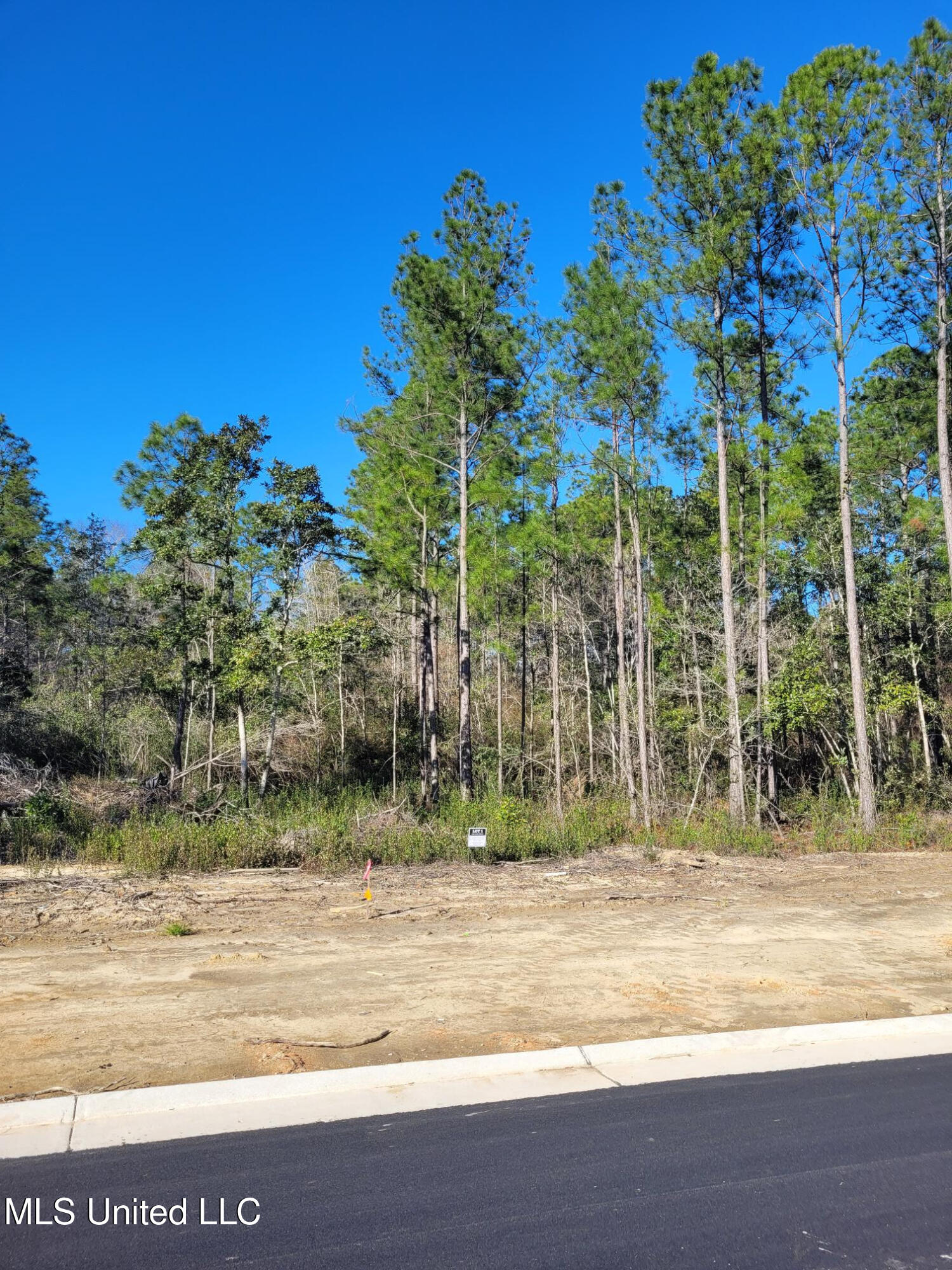 Lot 2 Orchard Street, Gulfport, Mississippi image 15