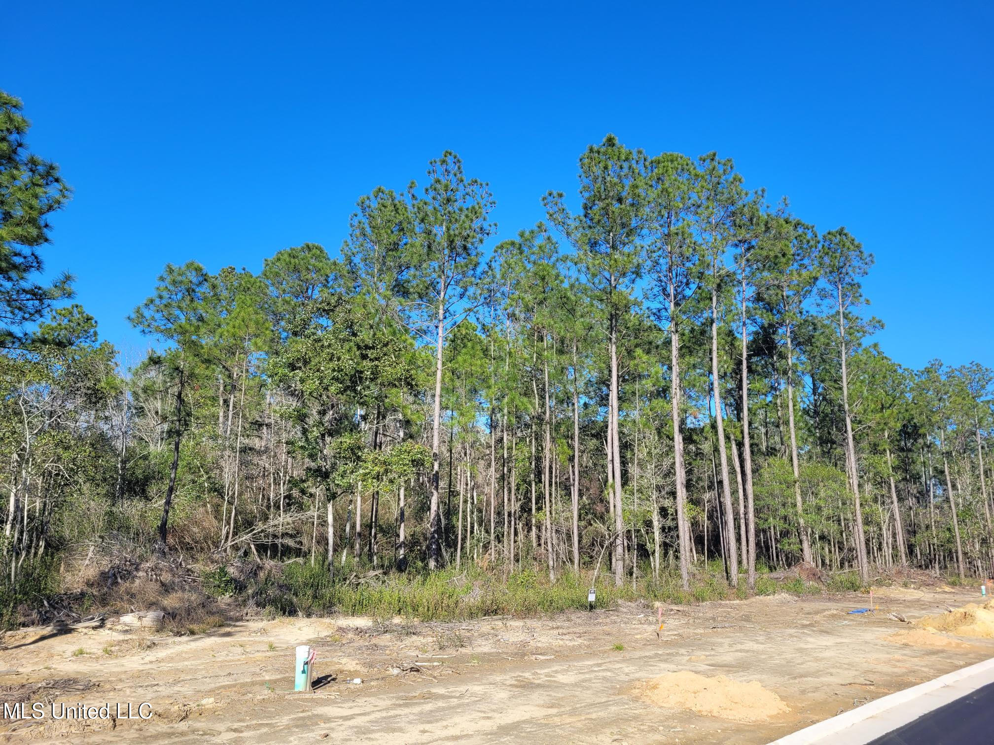 Lot 2 Orchard Street, Gulfport, Mississippi image 4