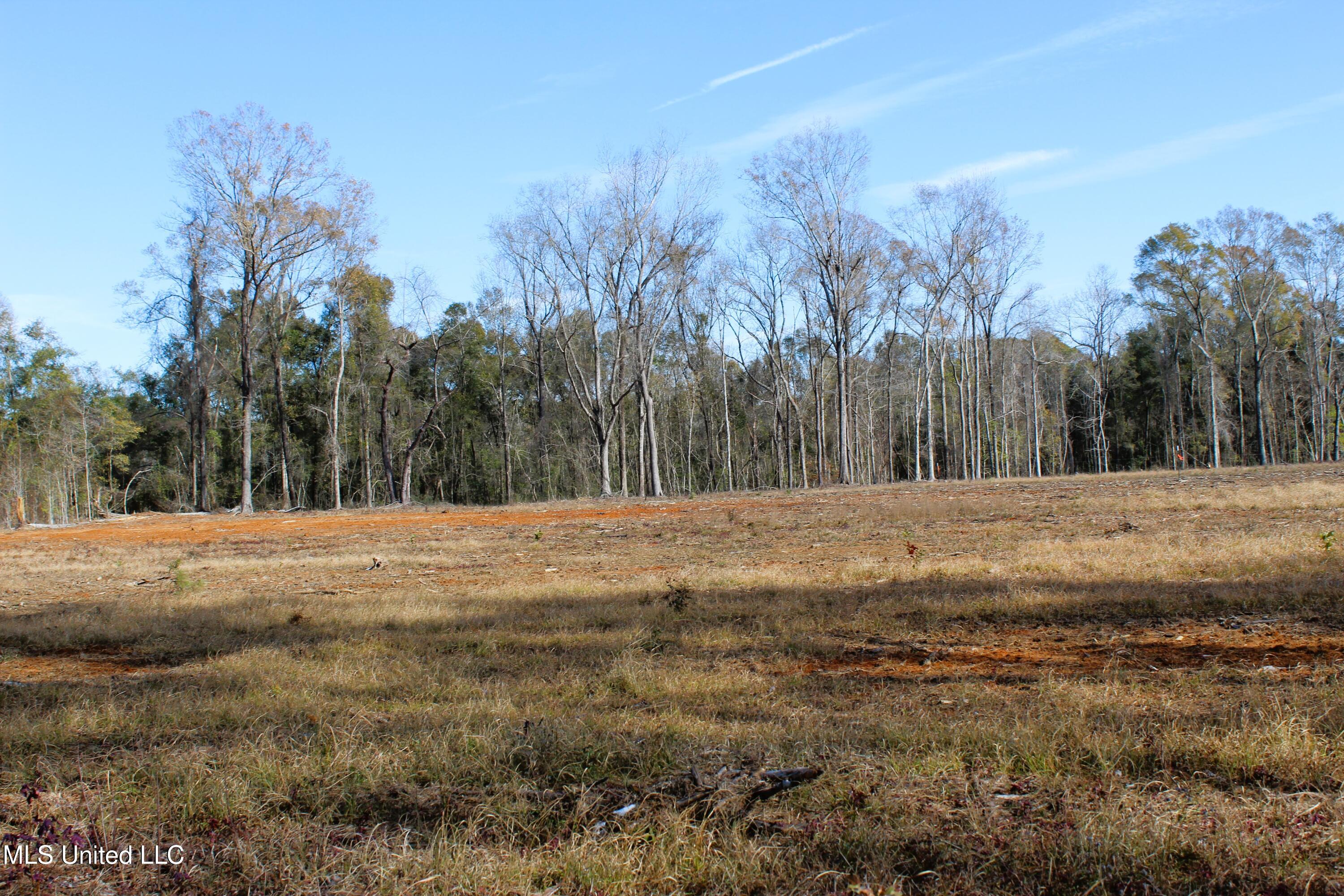 6.4 Acres Basin Central Road, Lucedale, Mississippi image 4