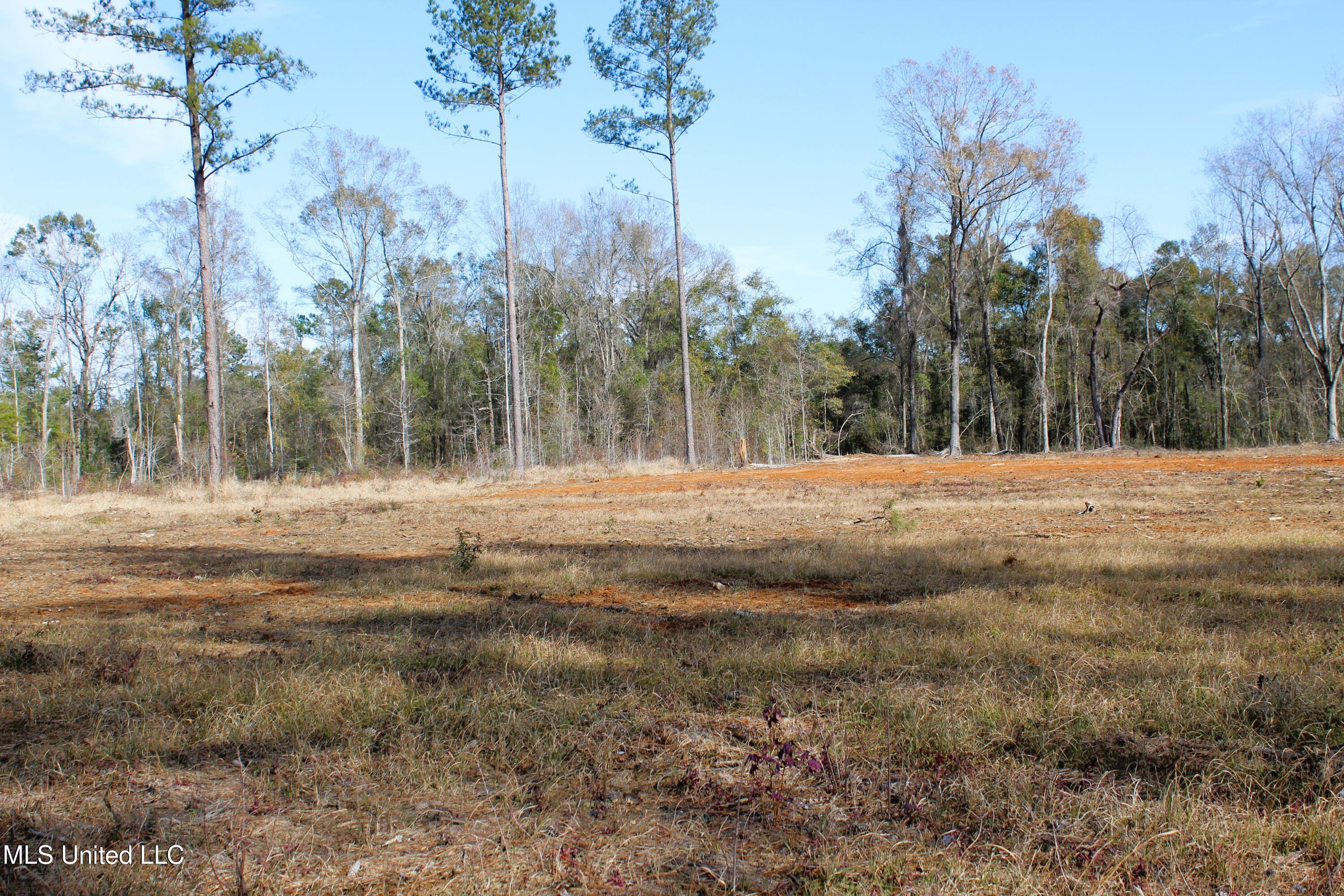 6.4 Acres Basin Central Road, Lucedale, Mississippi image 5