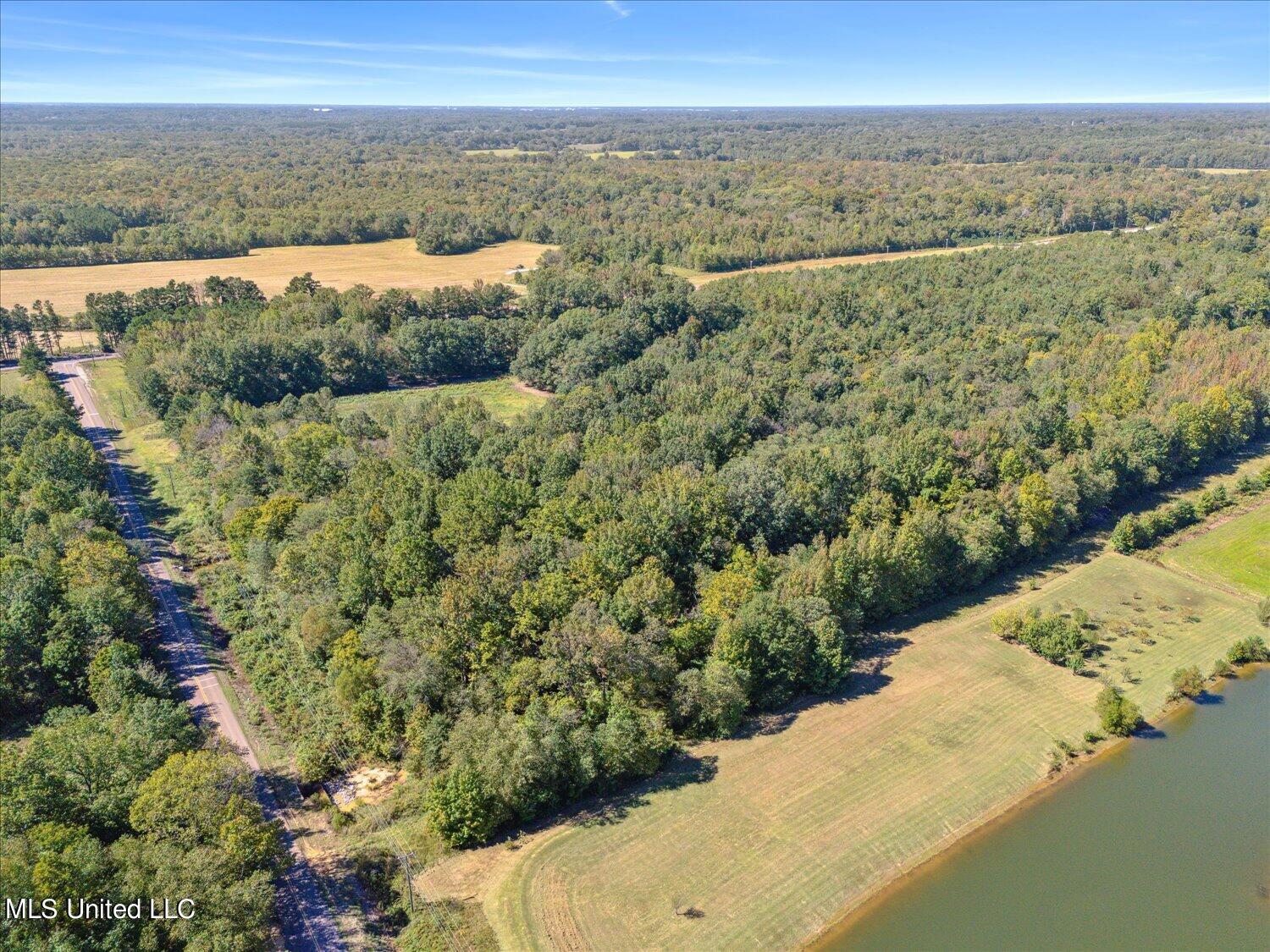 Deer Creek Road, Byhalia, Mississippi image 8