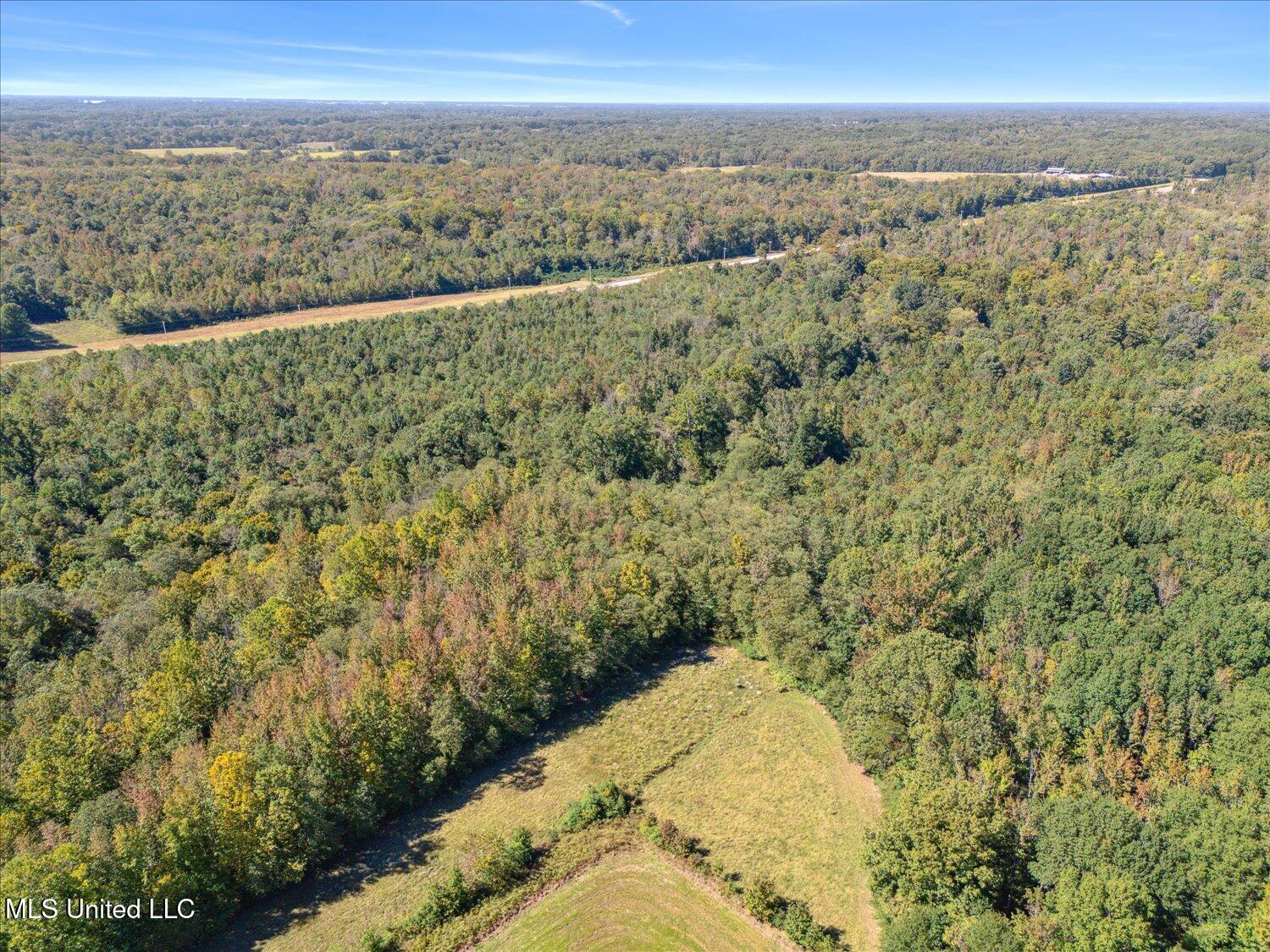 Deer Creek Road, Byhalia, Mississippi image 9