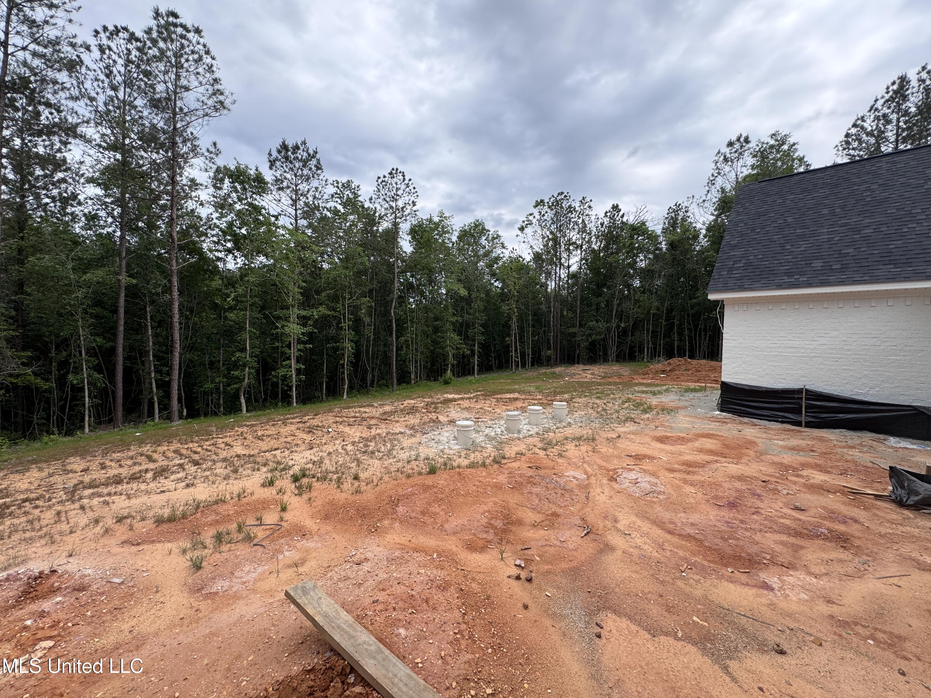 136 Ashwood Lane, Mendenhall, Mississippi image 22