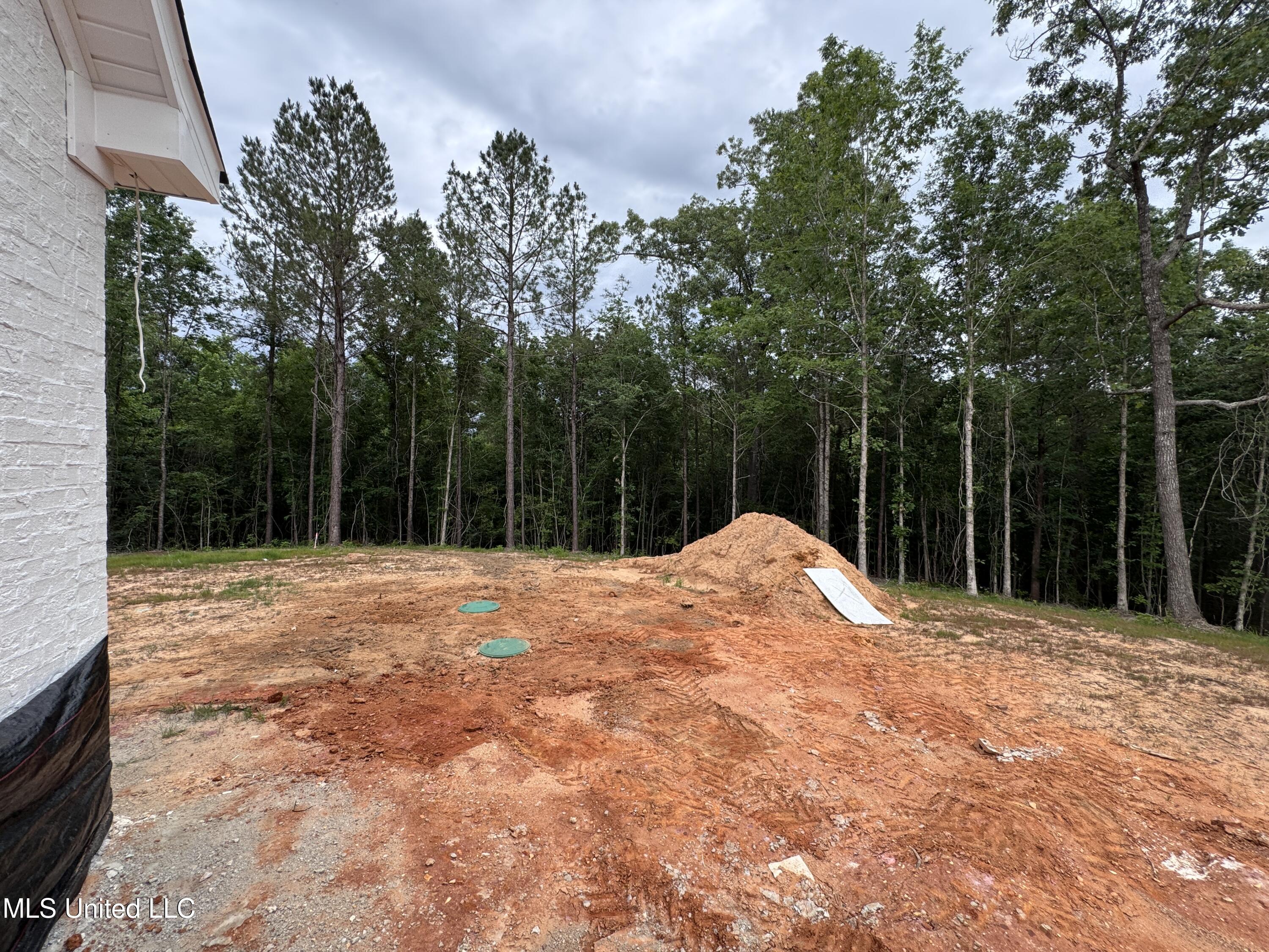 136 Ashwood Lane, Mendenhall, Mississippi image 21
