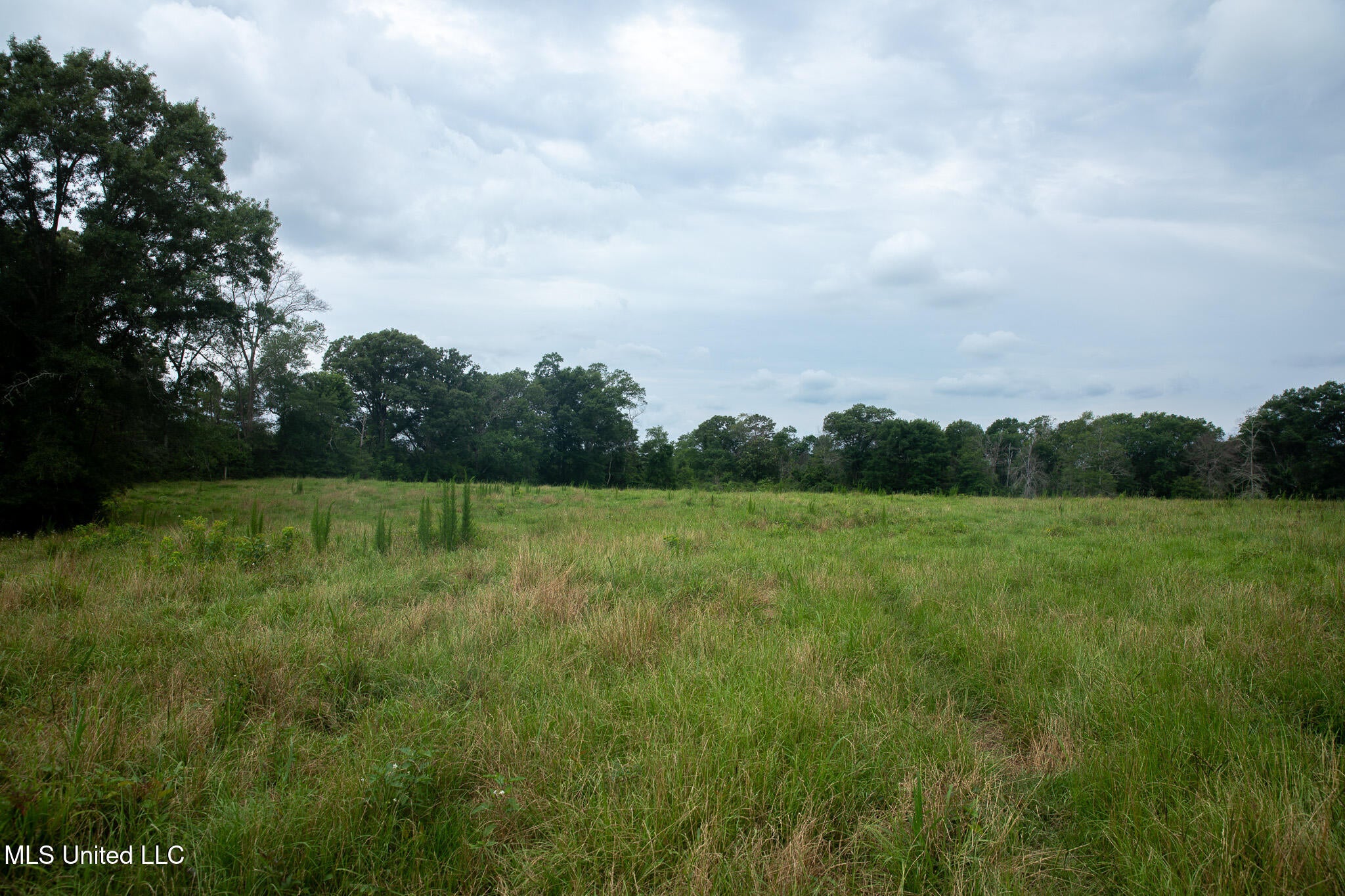 Sam Durr Road