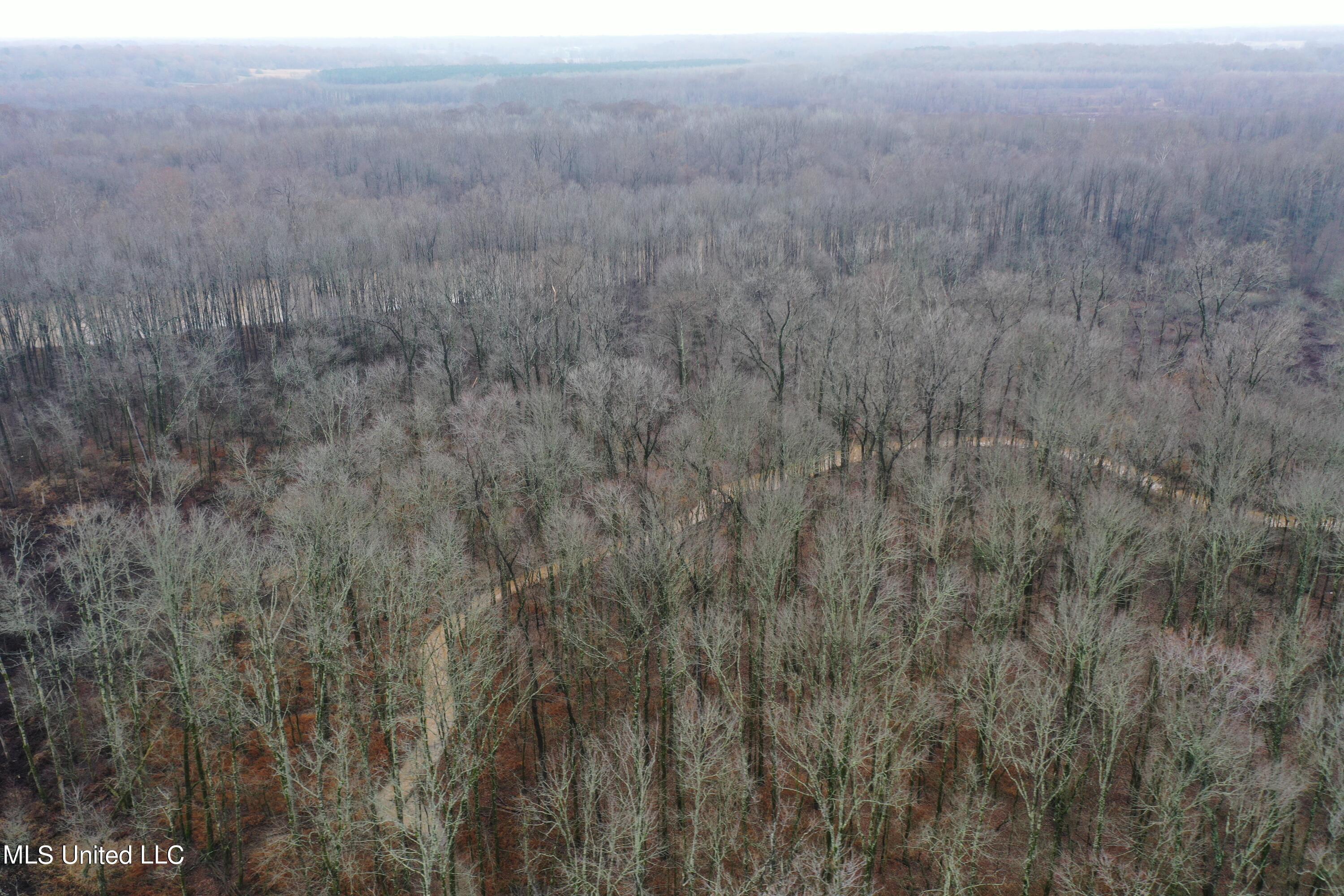 Holly Springs Road, Hernando, Mississippi image 8