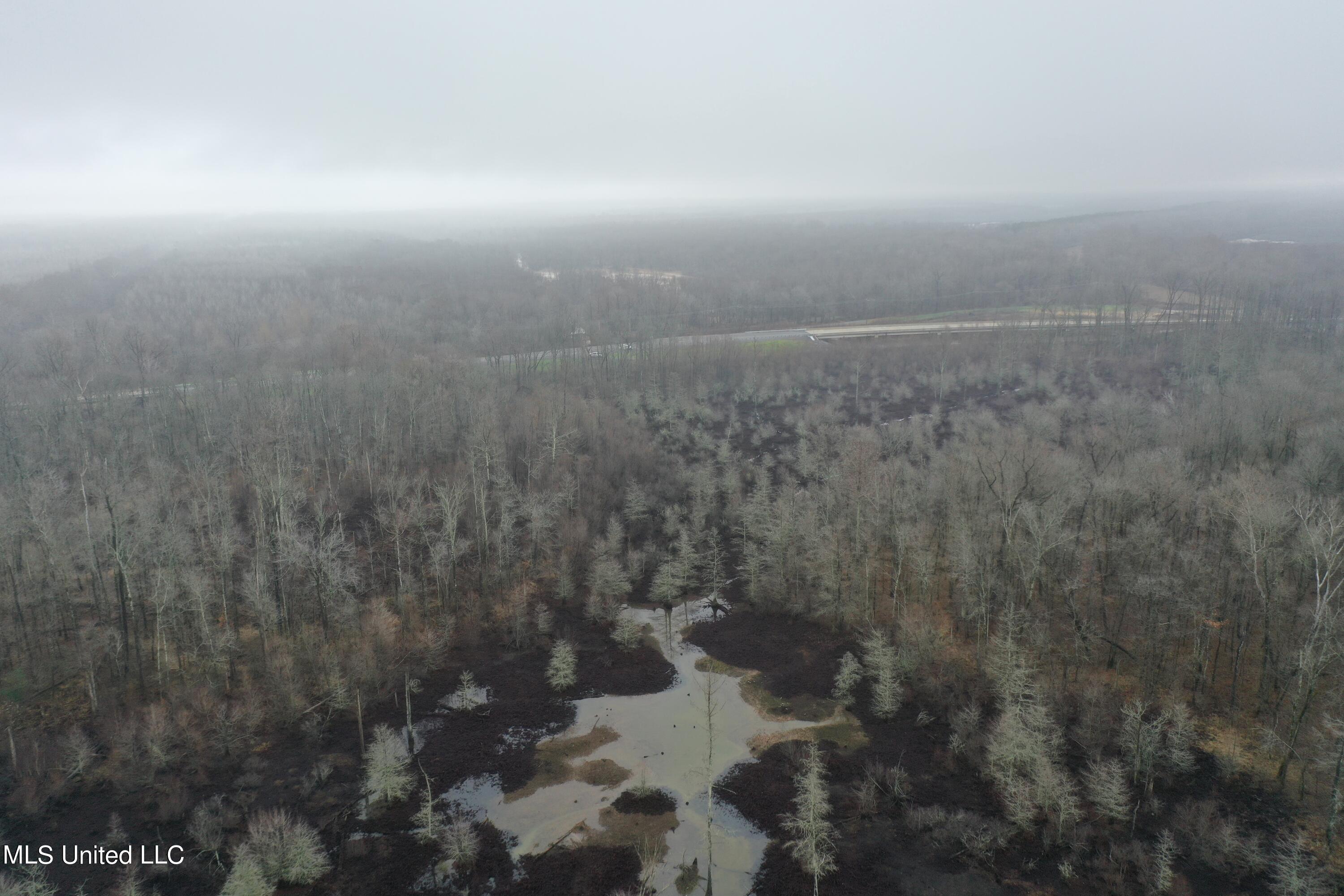 Holly Springs Road, Hernando, Mississippi image 1