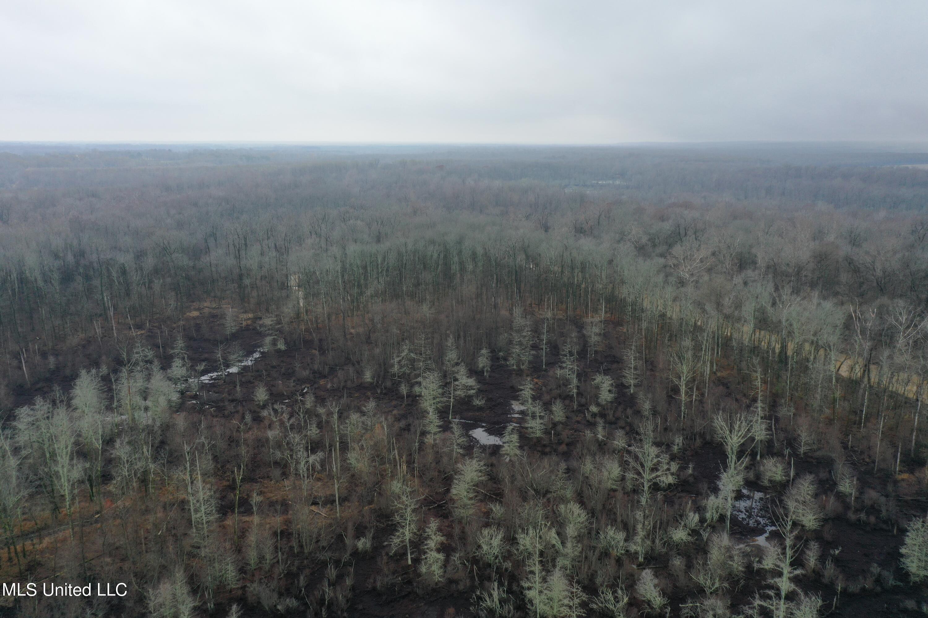 Holly Springs Road, Hernando, Mississippi image 6