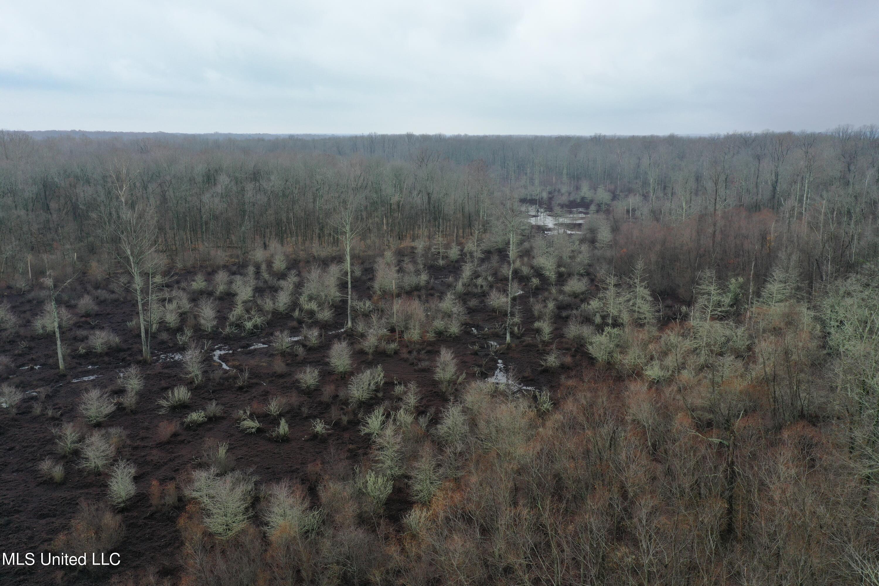 Holly Springs Road, Hernando, Mississippi image 2