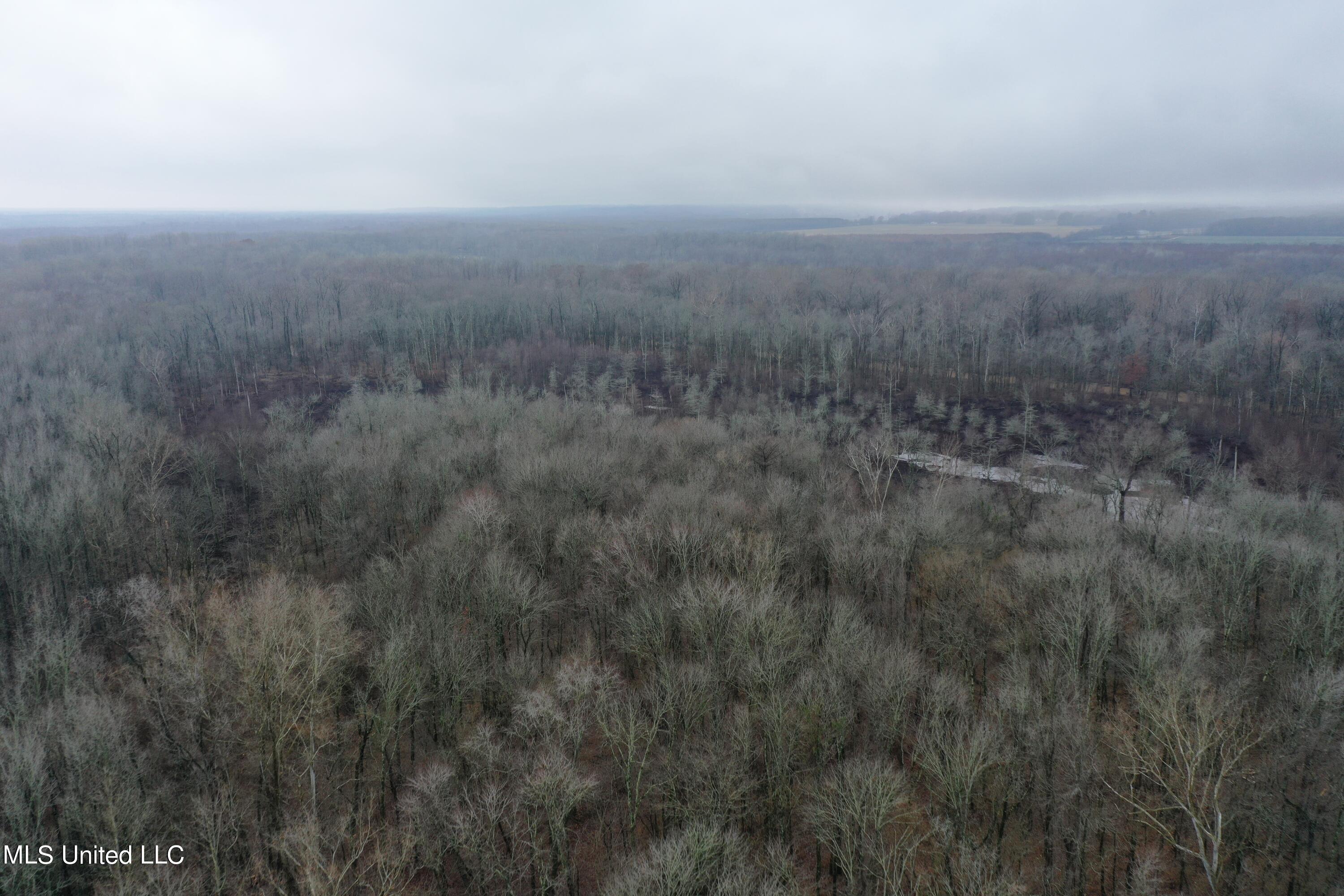 Holly Springs Road, Hernando, Mississippi image 5