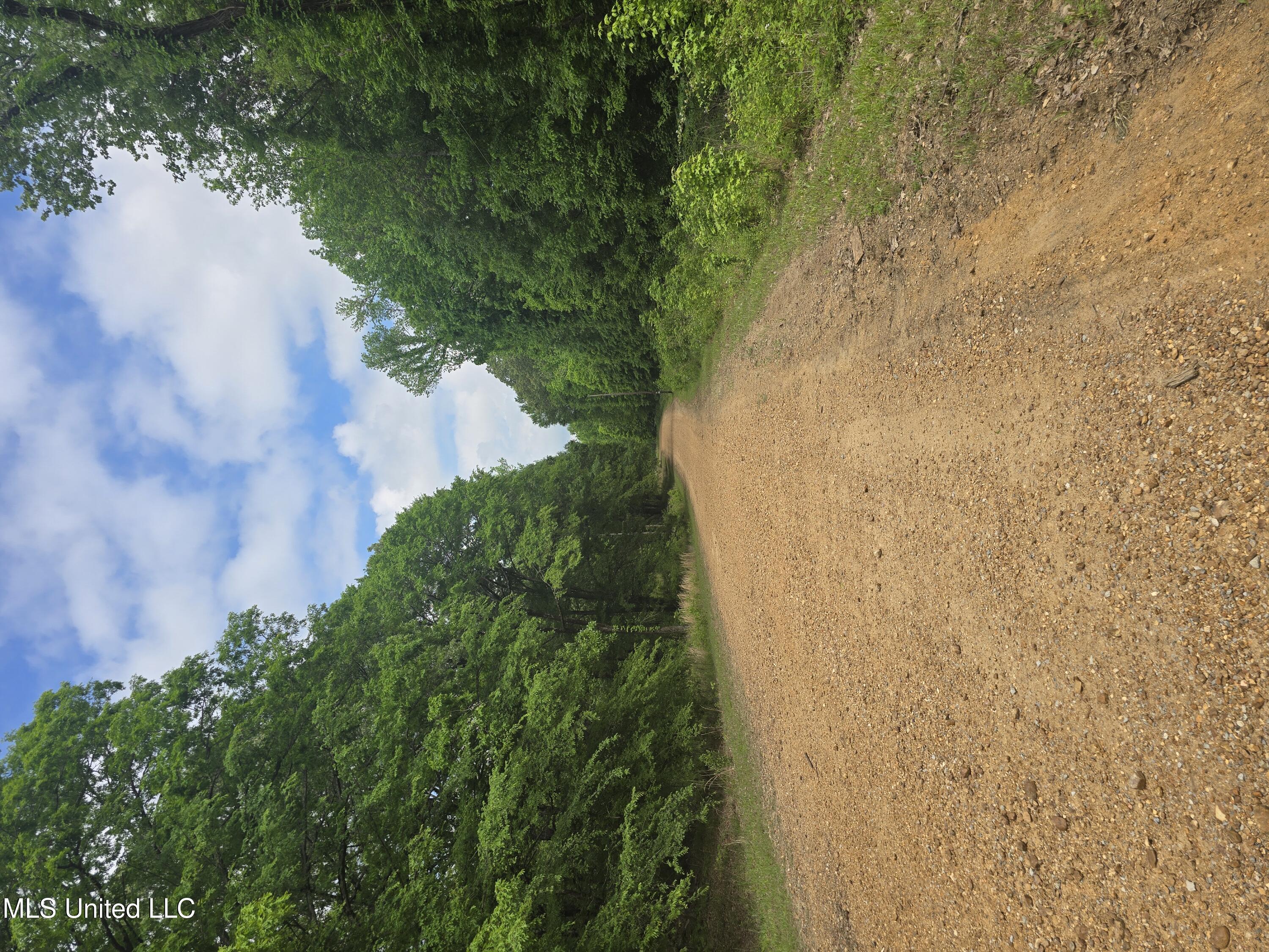 Laughter Road, Hernando, Mississippi image 1