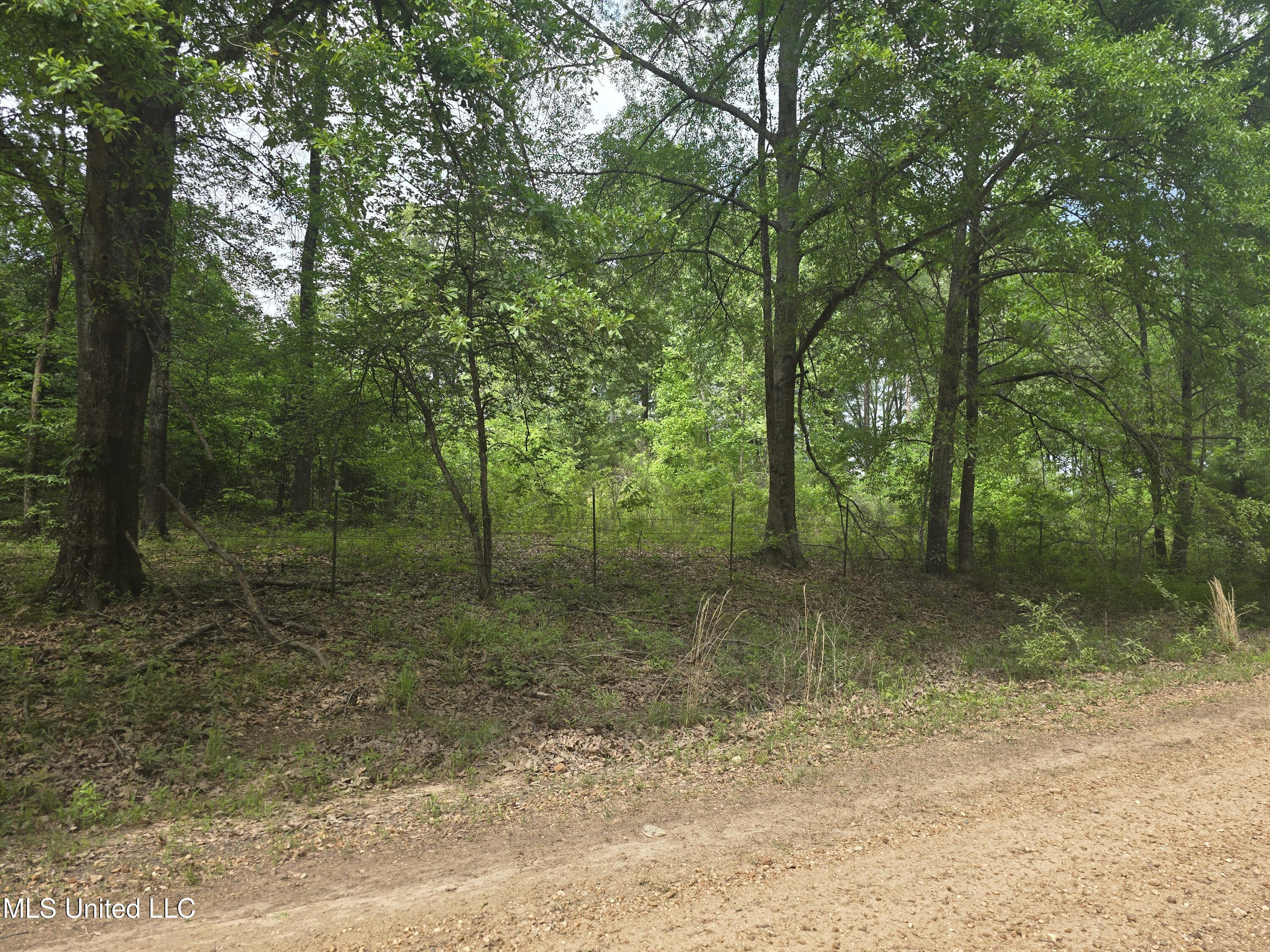 Laughter Road, Hernando, Mississippi image 3