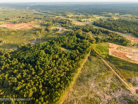 Vacant Land For Sale - Co Rd 717<br/> Union, MS 39365