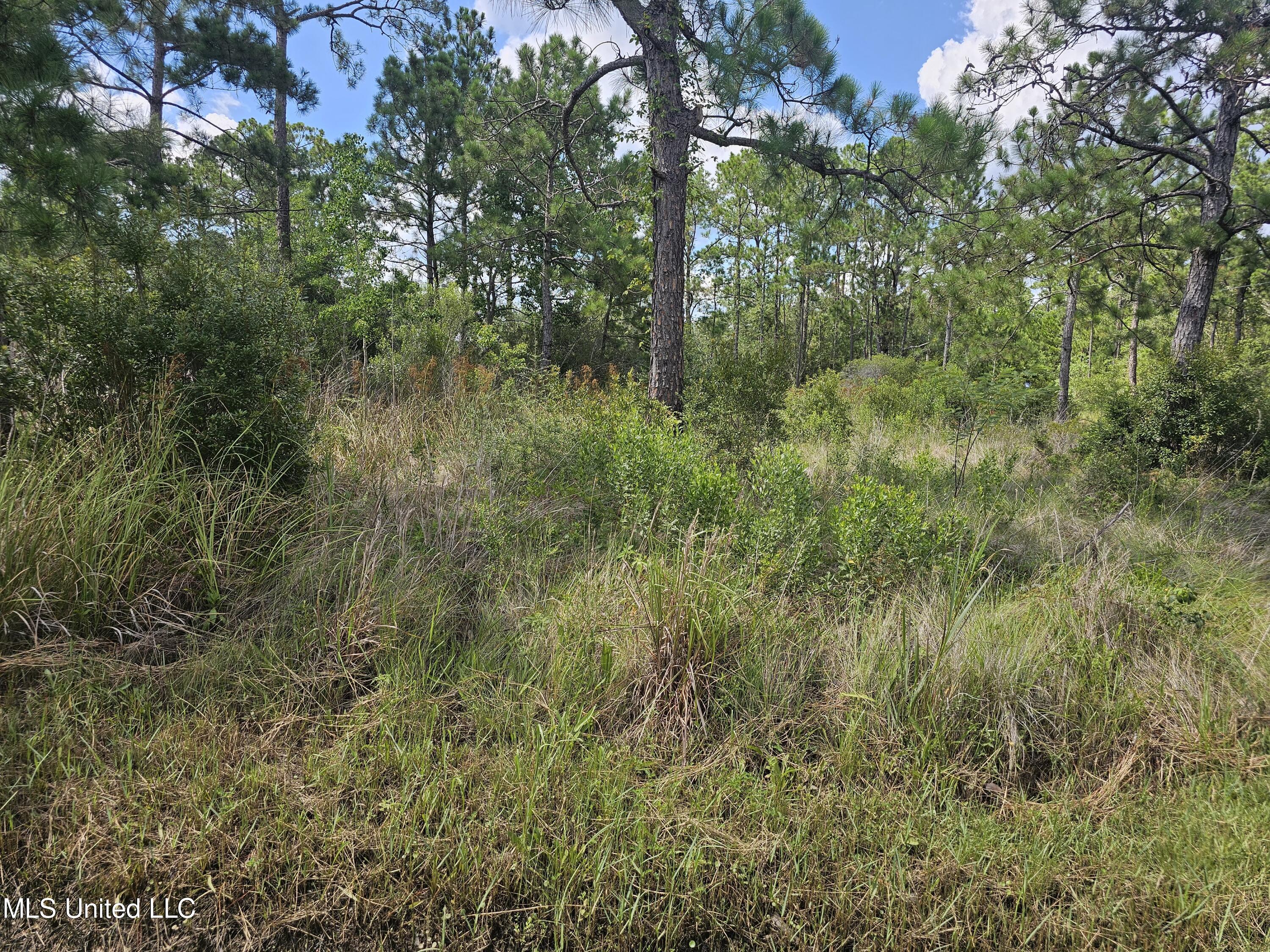 141 Ruby Street, Bay Saint Louis, Mississippi image 2