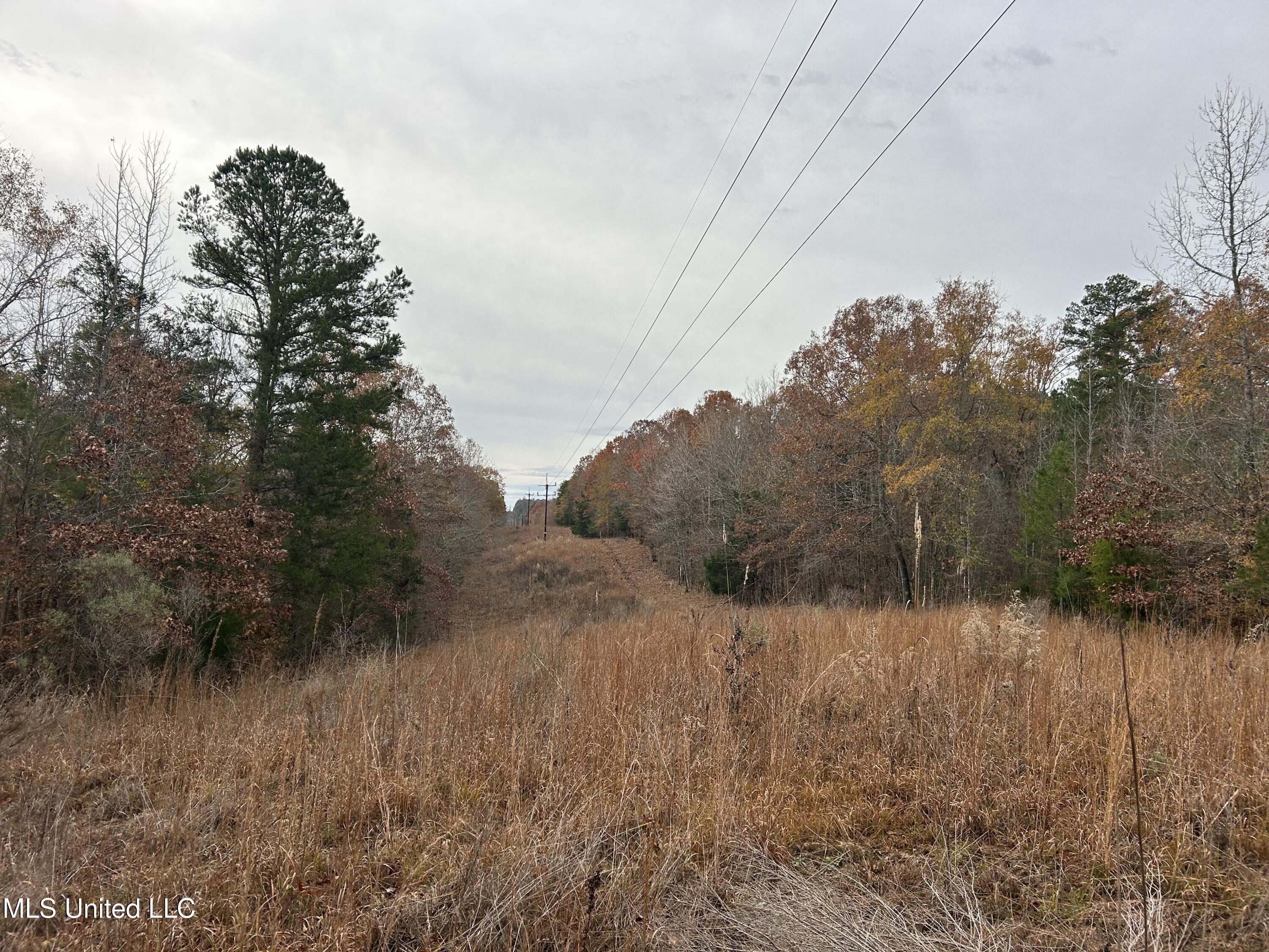 44 Armstrong Road, Pittsboro, Mississippi image 28