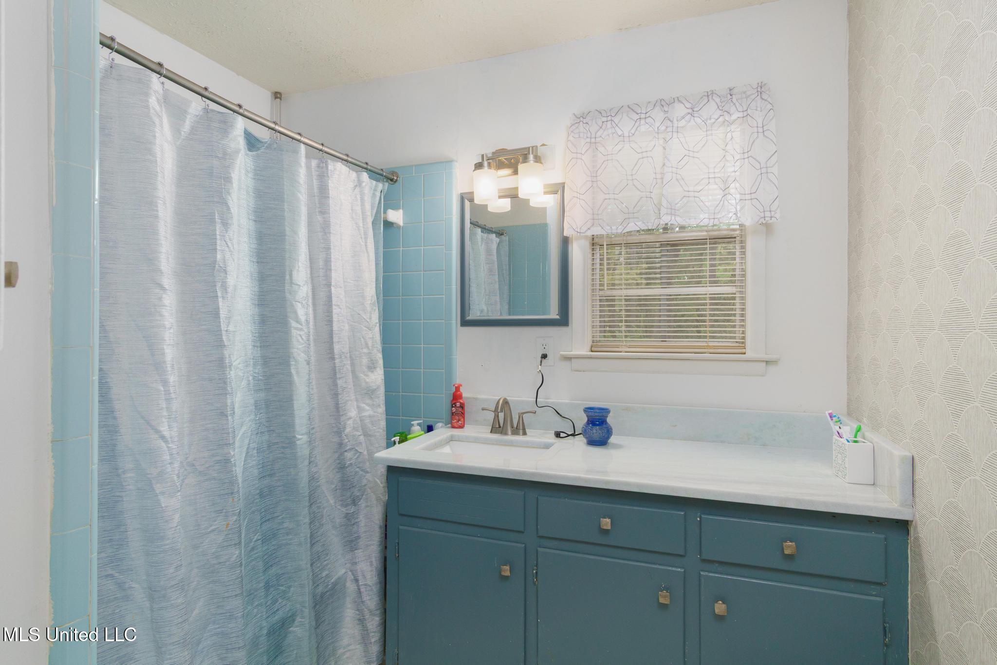 910 Mamie Drive, Mendenhall, Mississippi image 12