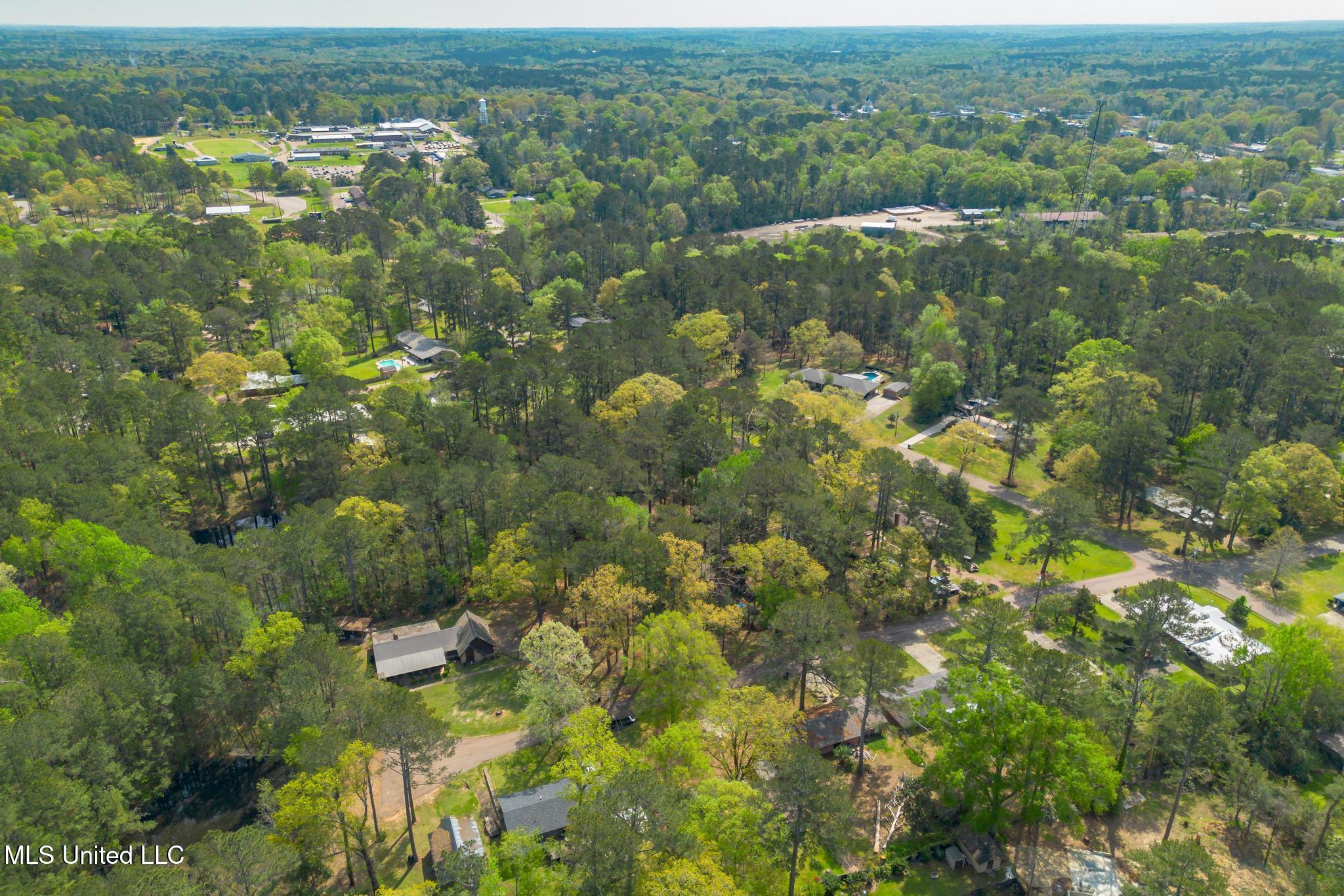 910 Mamie Drive, Mendenhall, Mississippi image 24