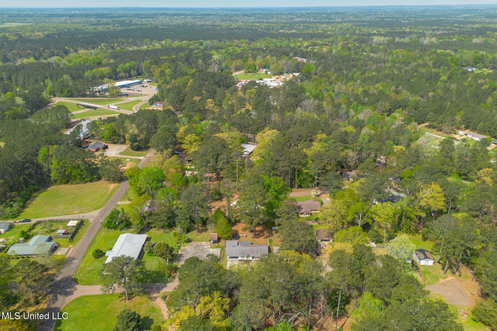 910 Mamie Drive, Mendenhall, Mississippi image 22
