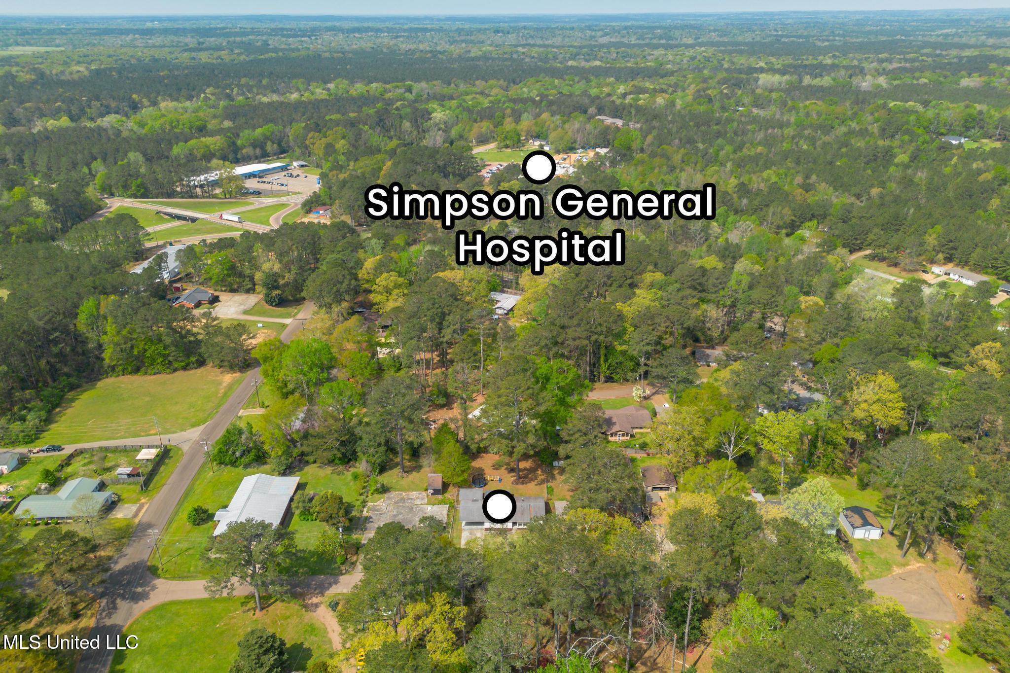 910 Mamie Drive, Mendenhall, Mississippi image 23