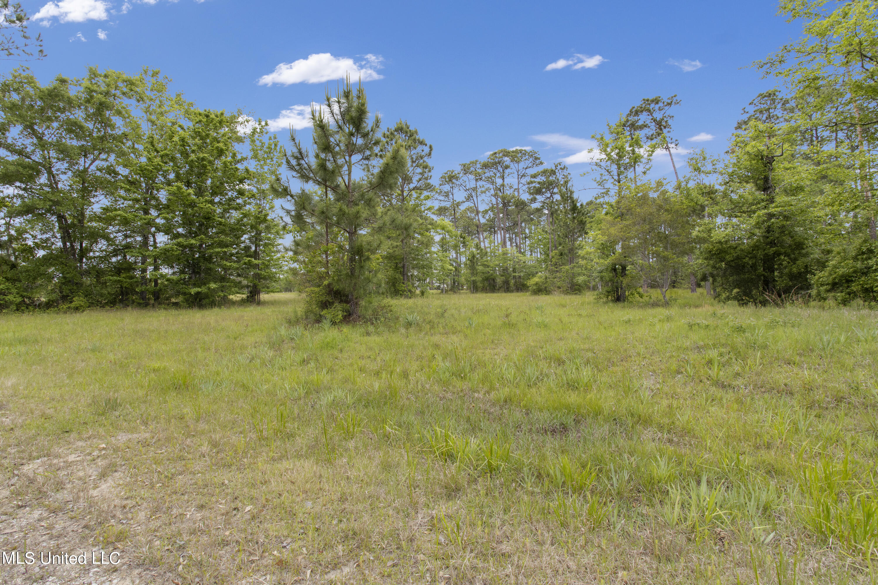 Lot 36 Hummingbird Lane, Biloxi, Mississippi image 4