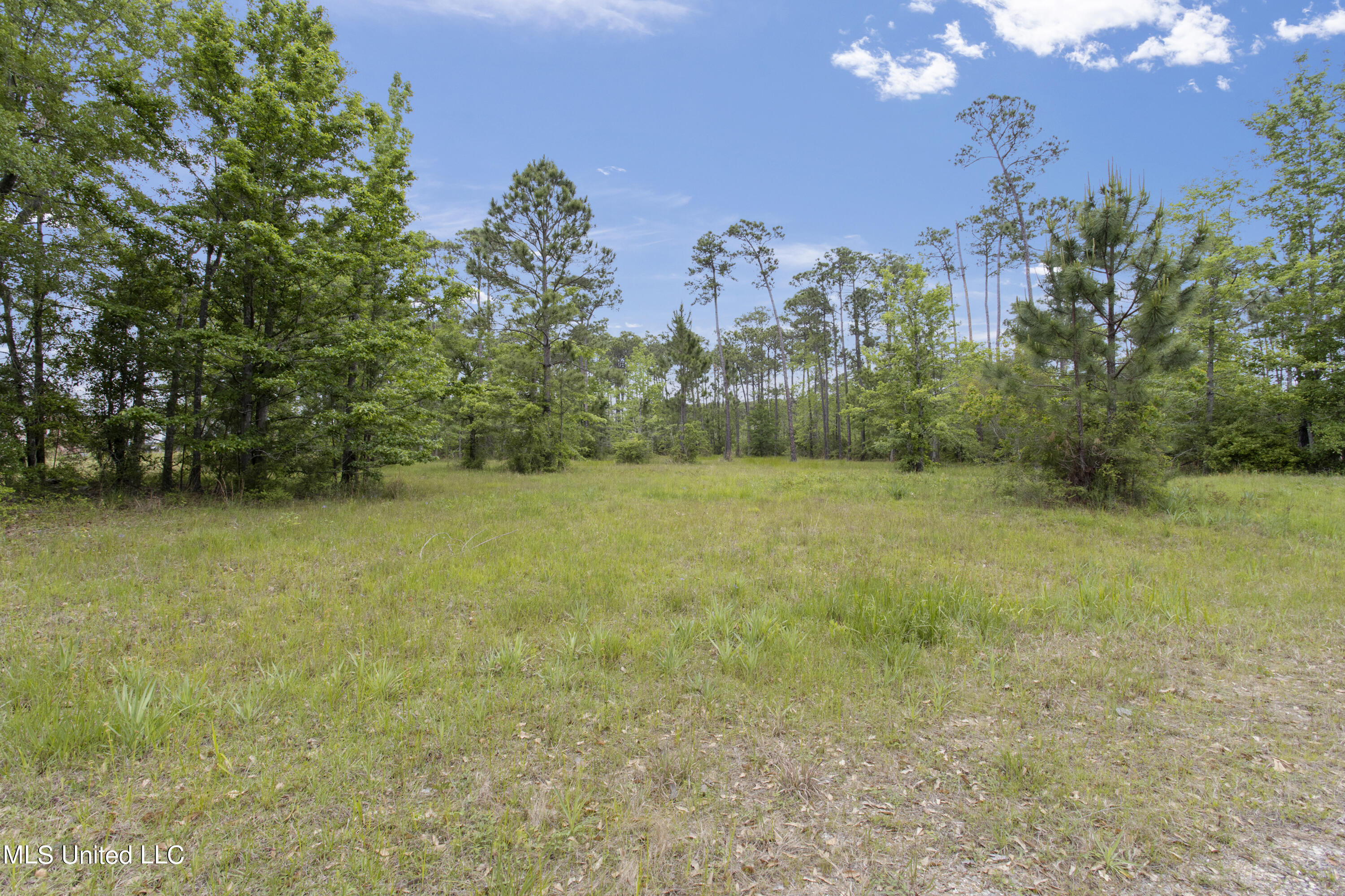 Lot 36 Hummingbird Lane, Biloxi, Mississippi image 3