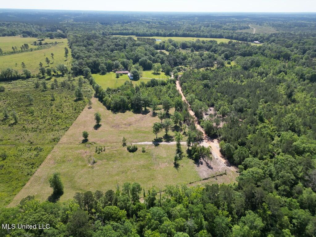 Egg Farm Road, Poplarville, Mississippi image 2