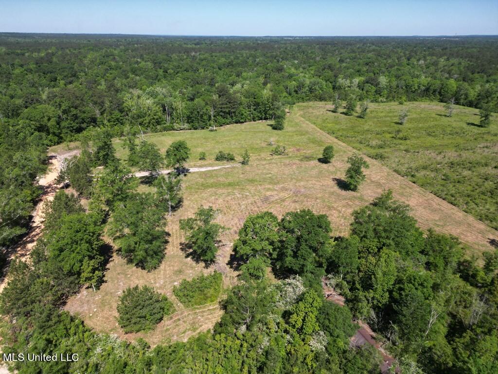 Egg Farm Road, Poplarville, Mississippi image 1