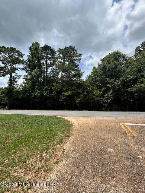 Vacant Land For Sale - 193 W Ms-48<br/> Walthall County, Tylertown, MS 39667