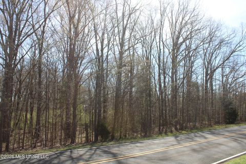 Vacant Land For Sale - 8 Barton Desoto Road<br/> Marshall County, Olive Branch, MS 38654