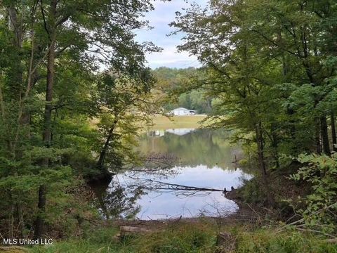 Vacant Land For Sale - Lake View Dr<br/> Yazoo County, Yazoo City, MS 39194