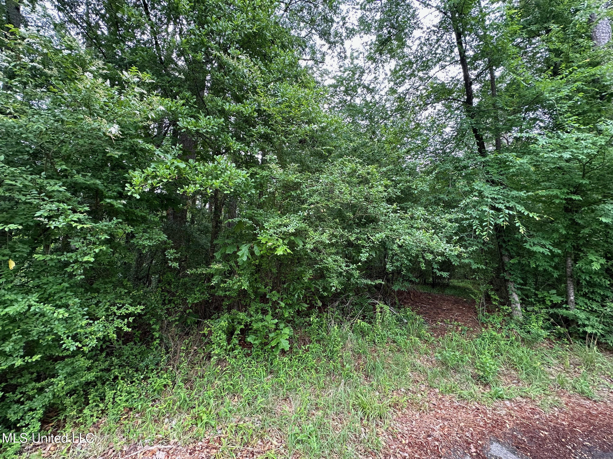 101 Madlyn Drive, Florence, Mississippi image 1